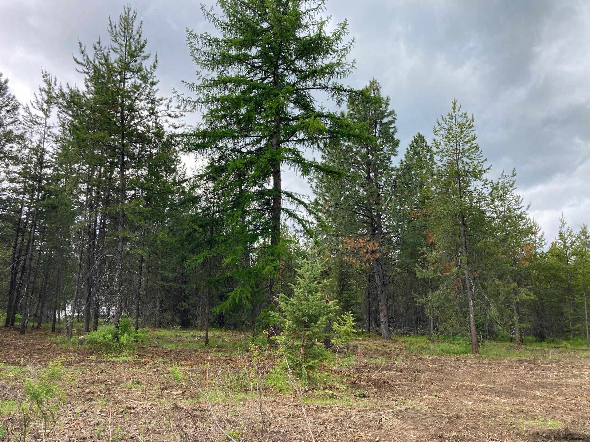 
                        Property photograph at
                        1496 E HWY 20 XX
                      
