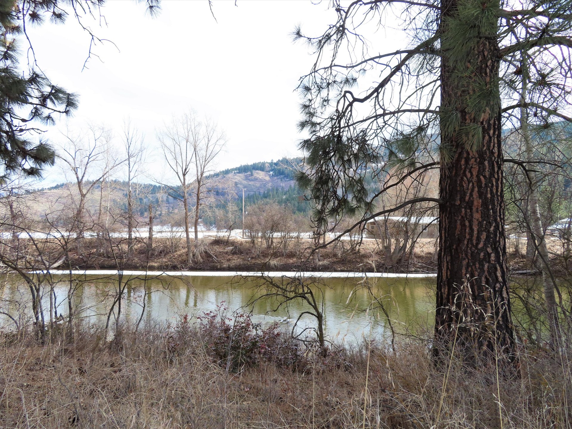 
                        Property photograph at
                        TBD HIGHWAY 21 N
                      