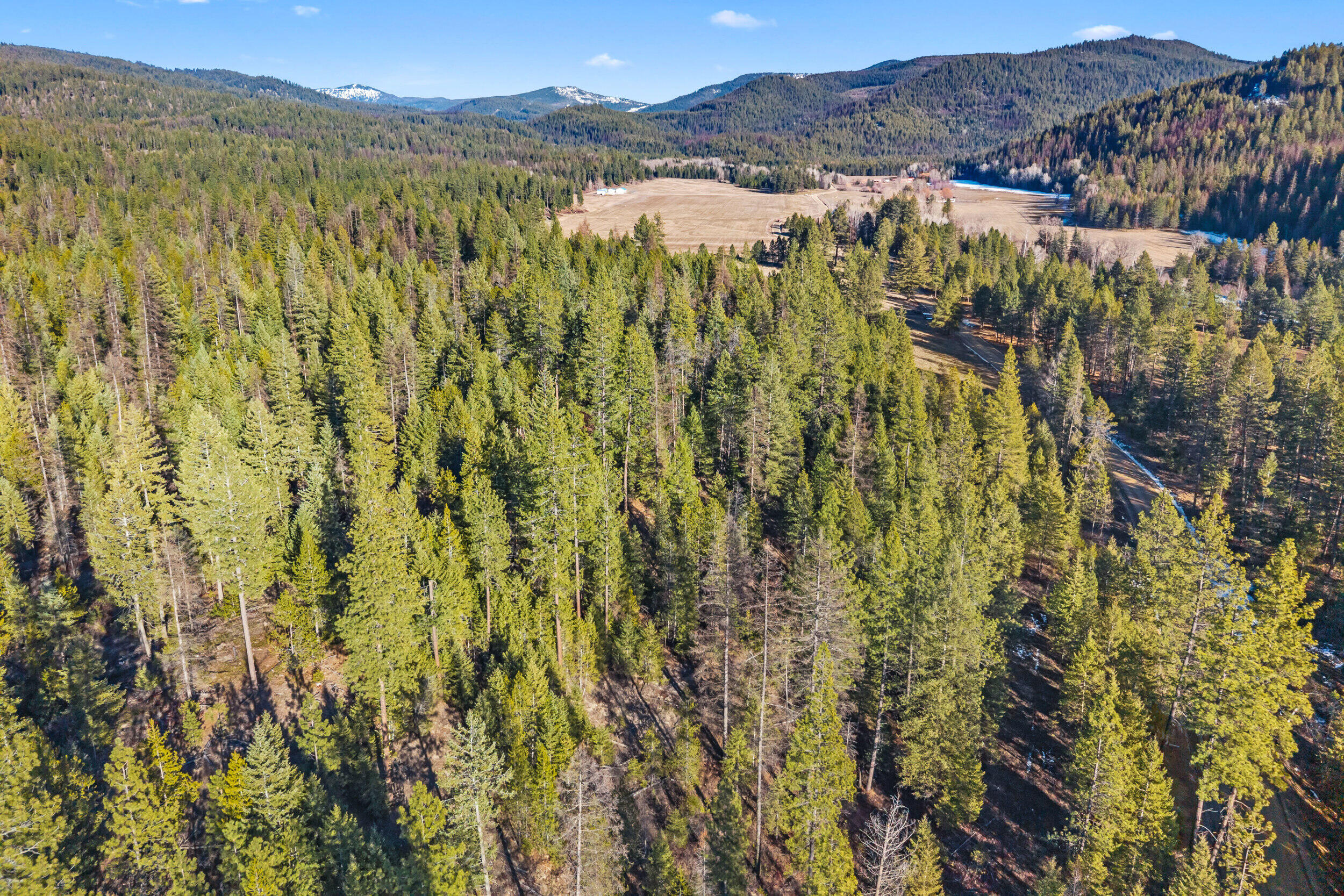 
                        Property photograph at
                        28XX BURNT VALLEY (20AC) RD
                      