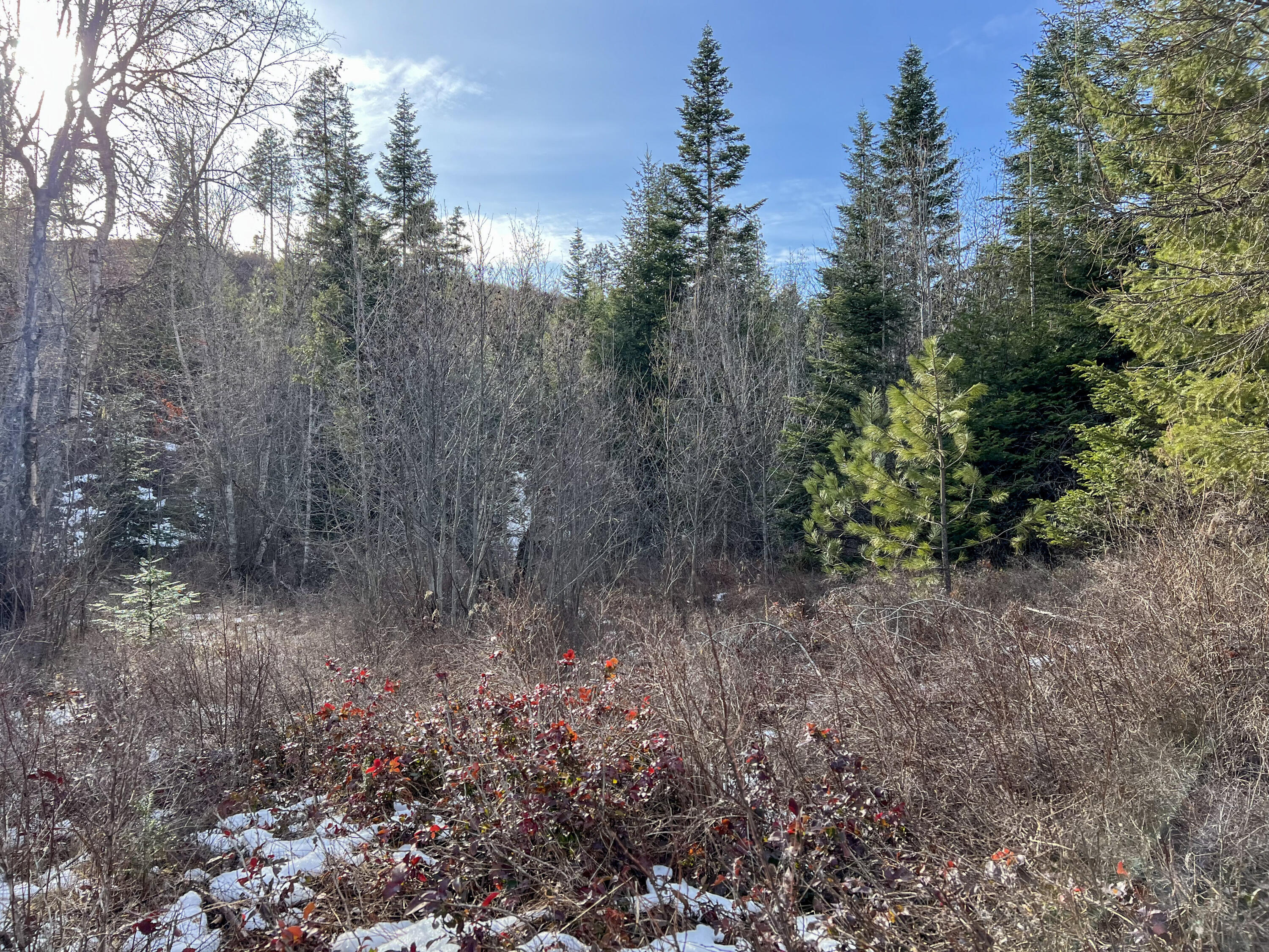 
                        Property photograph at
                        35XX HARMS WAY
                      