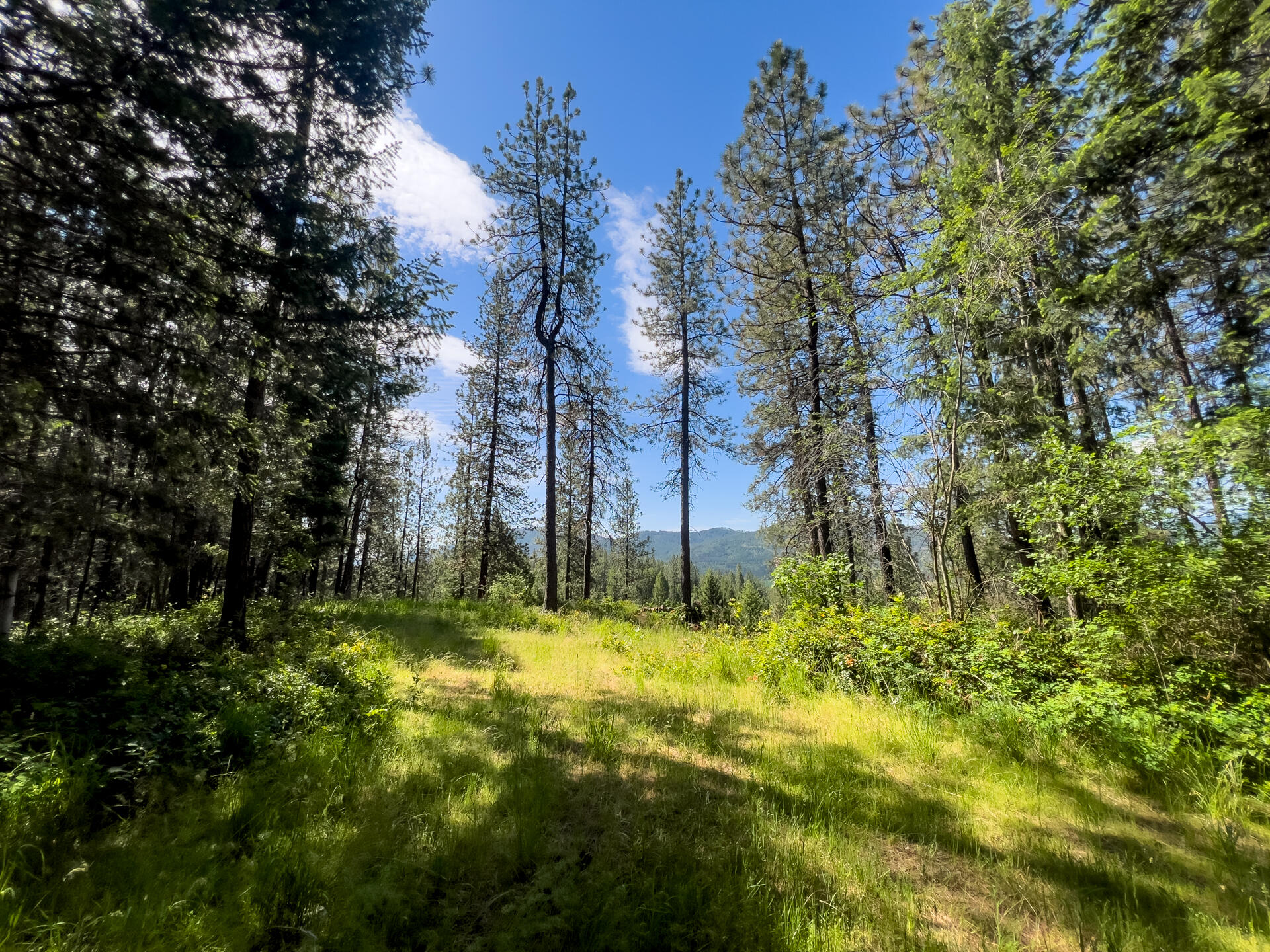 
                        Property photograph at
                        1763-I U.S. 395
                      