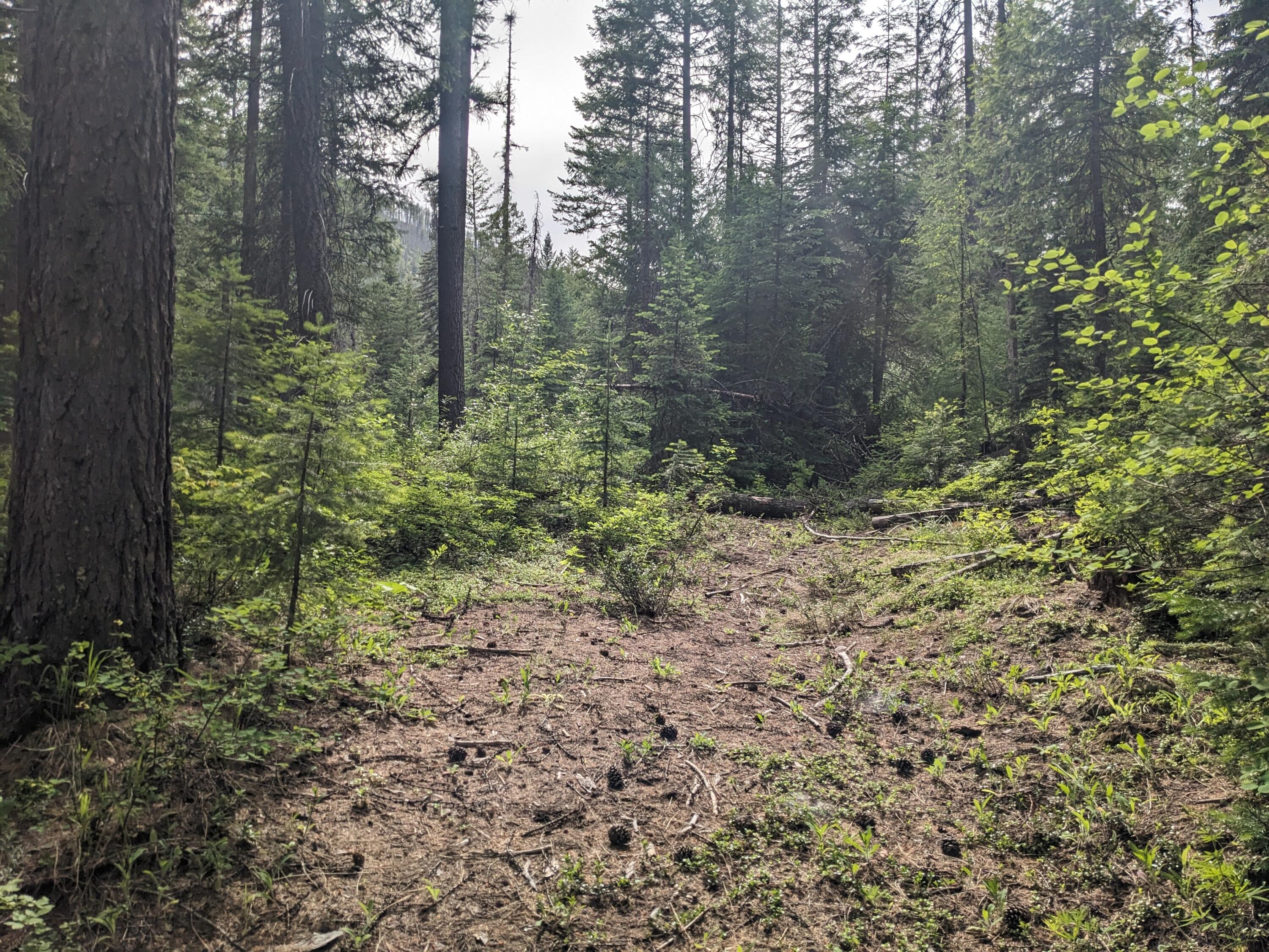 
                        Property photograph at
                        TBD BIA RD. 56
                      