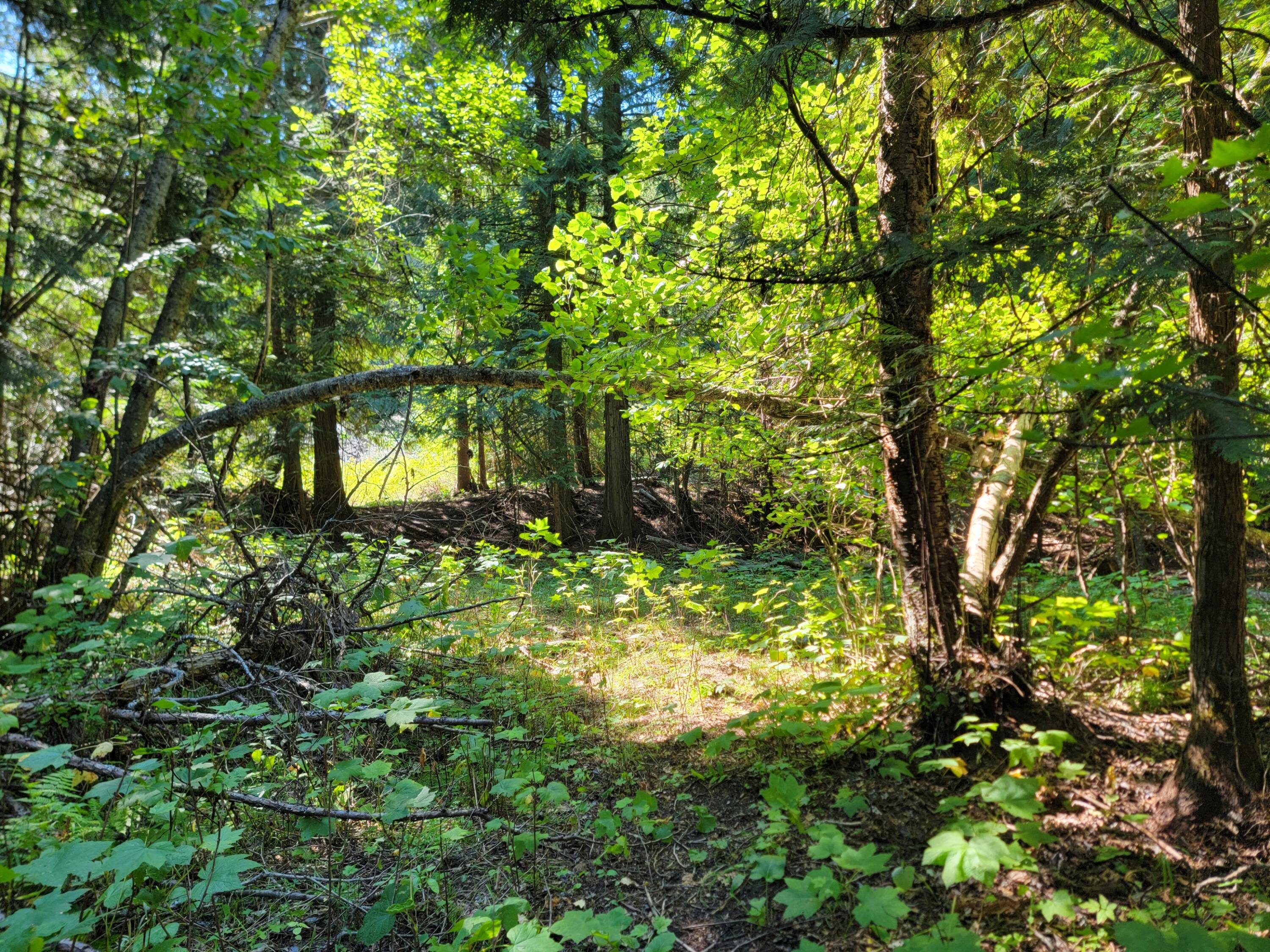 
                        Property photograph at
                        TBD LONE RANCH RD
                      