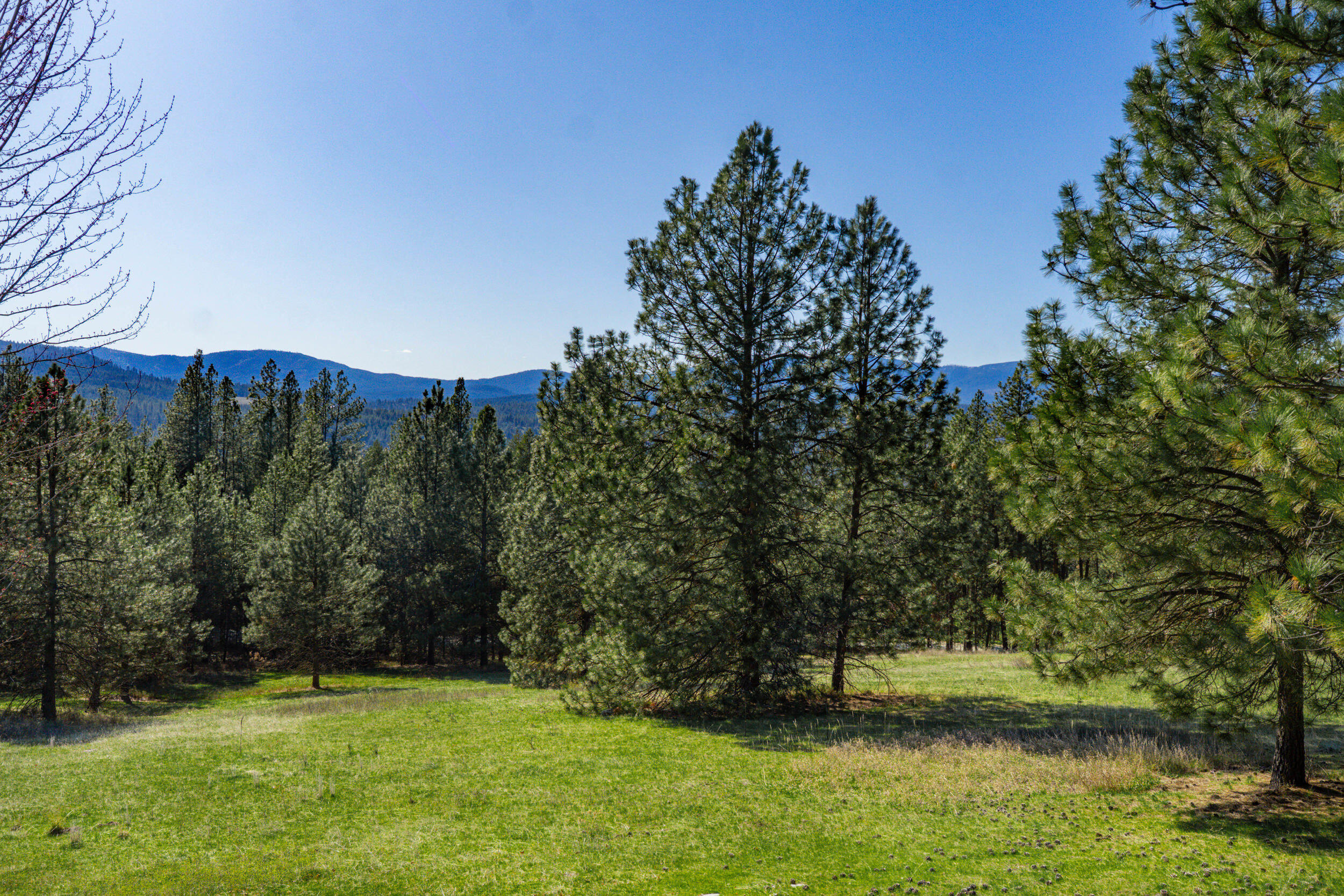 
                        Property photograph at
                        753 C ARDEN BUTTE RD
                      