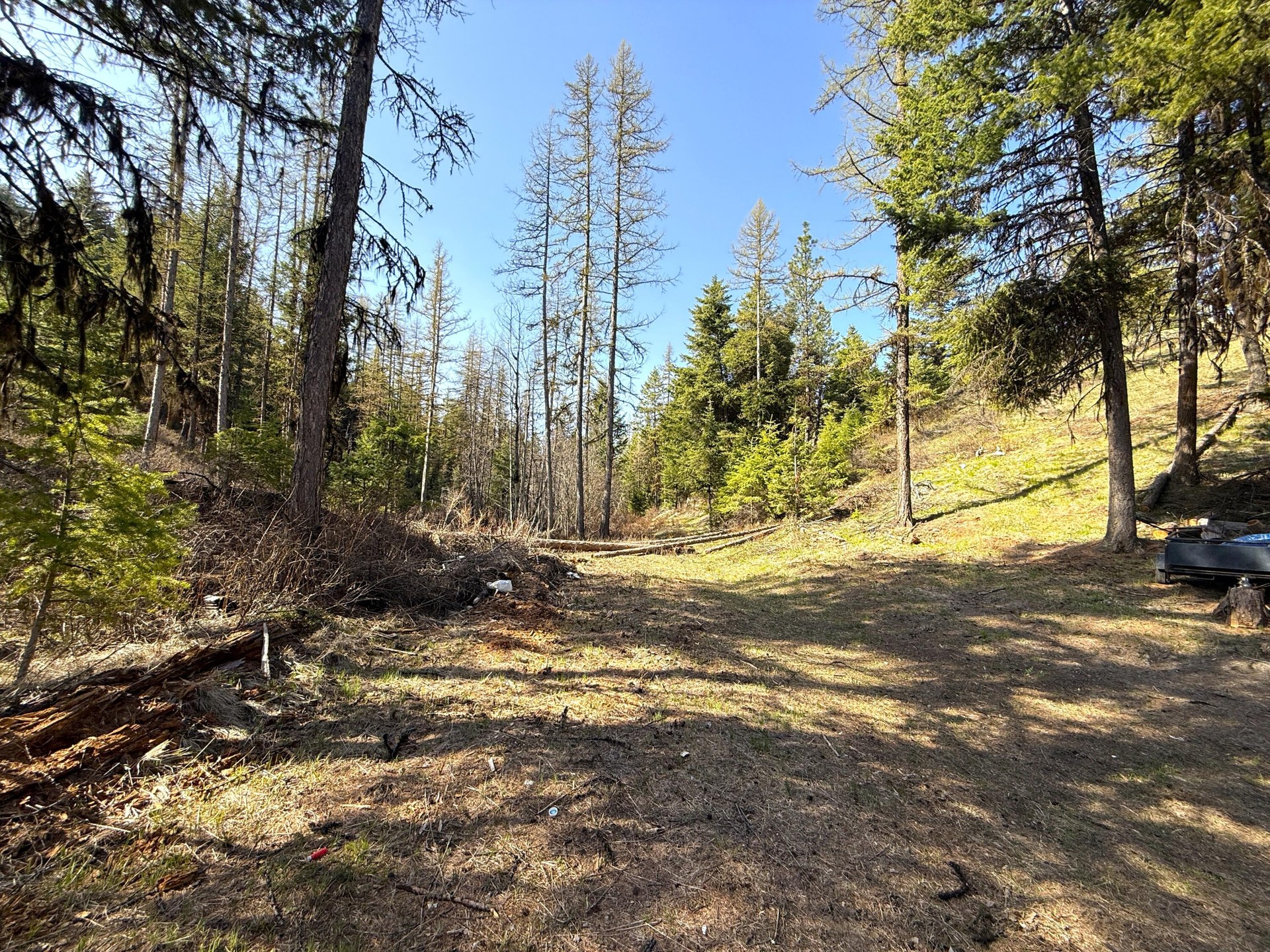 
                        Property photograph at
                        TBD GIVEOUT CREEK RD
                      
