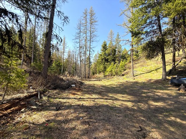 
            Exterior of
            TBD GIVEOUT CREEK RD
          
