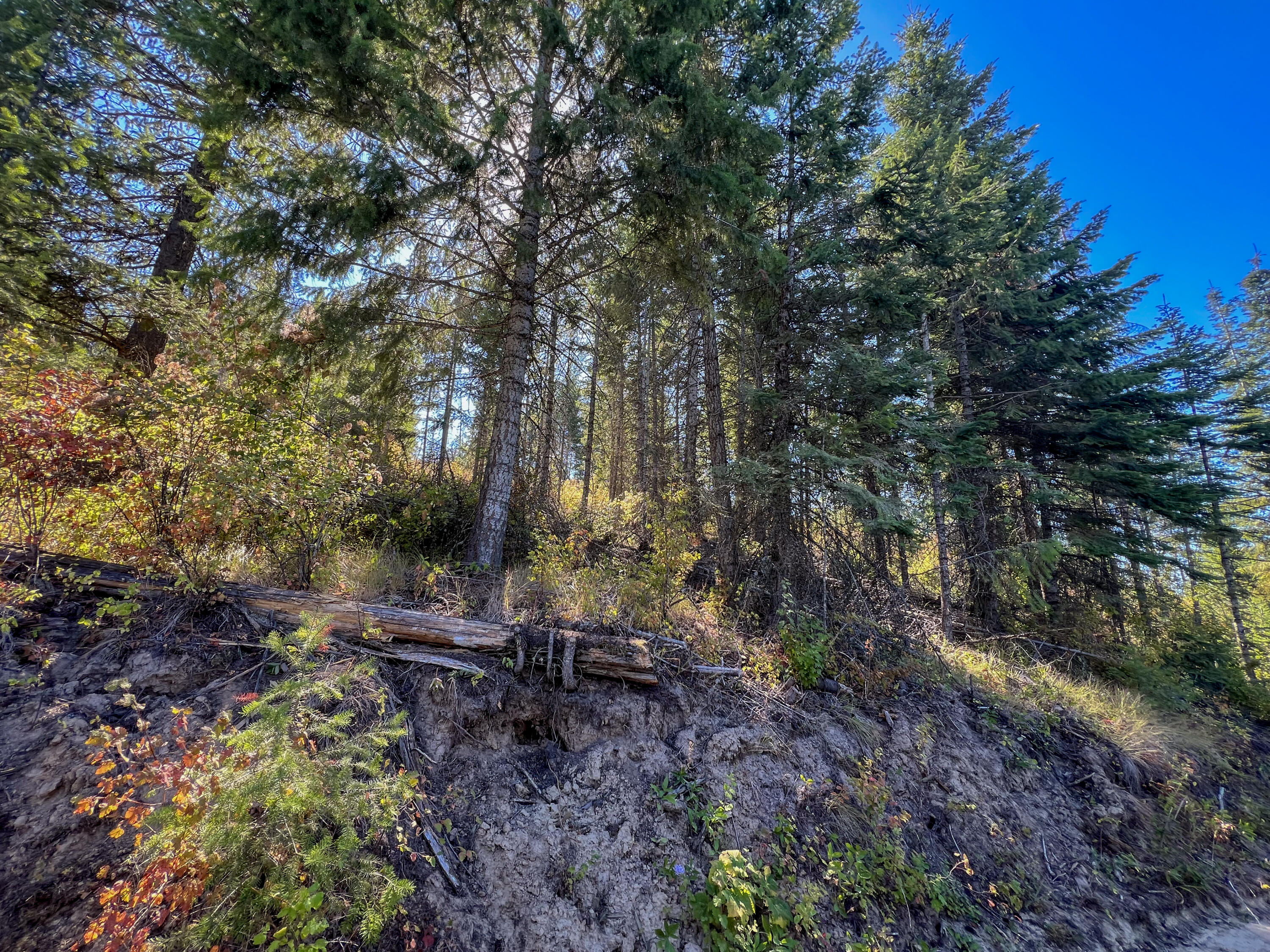 
                        Property photograph at
                        52XX LOT 5 S SWENSON RD
                      