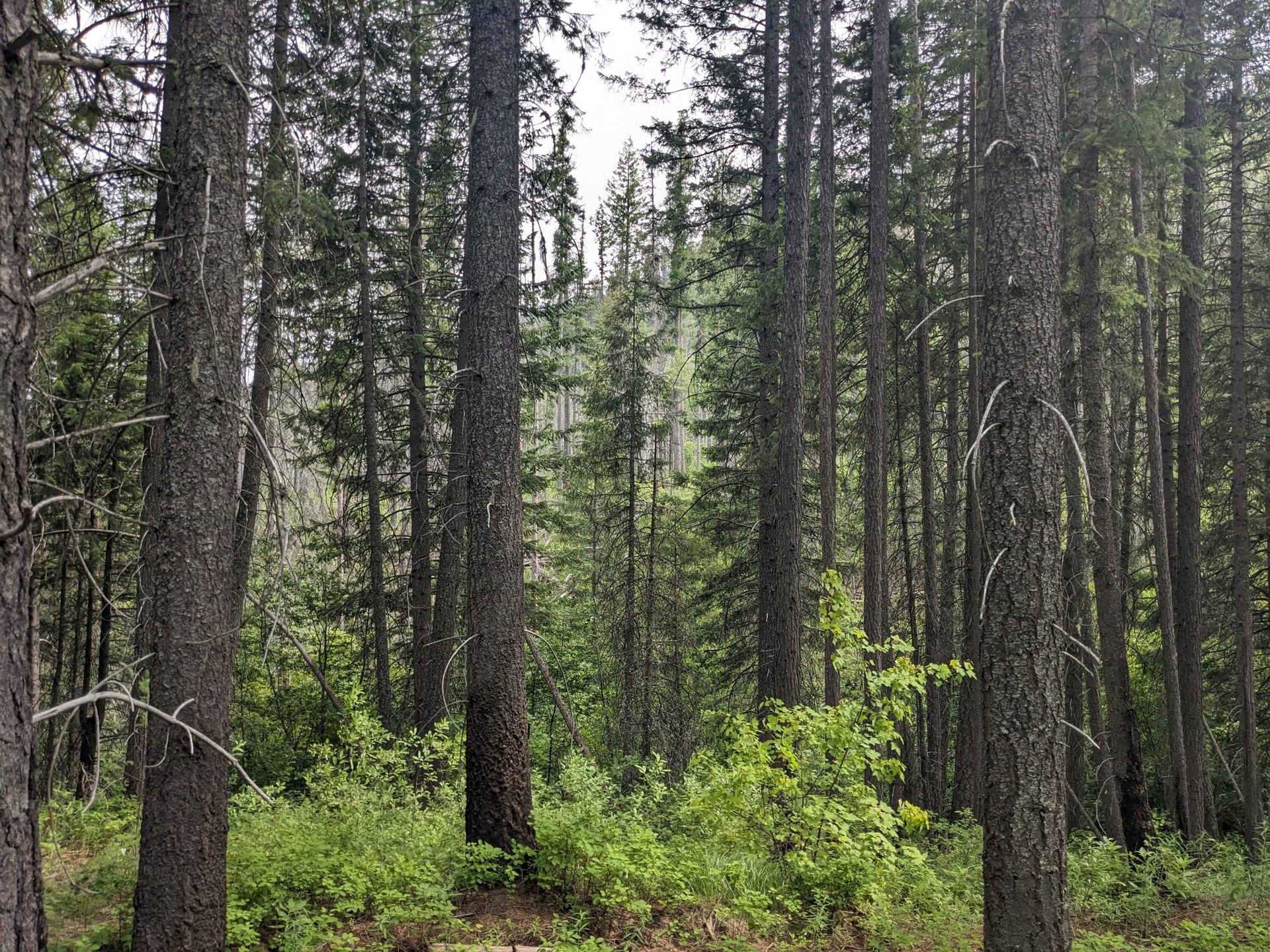 
                        Property photograph at
                        TBD BIA RD. 56
                      