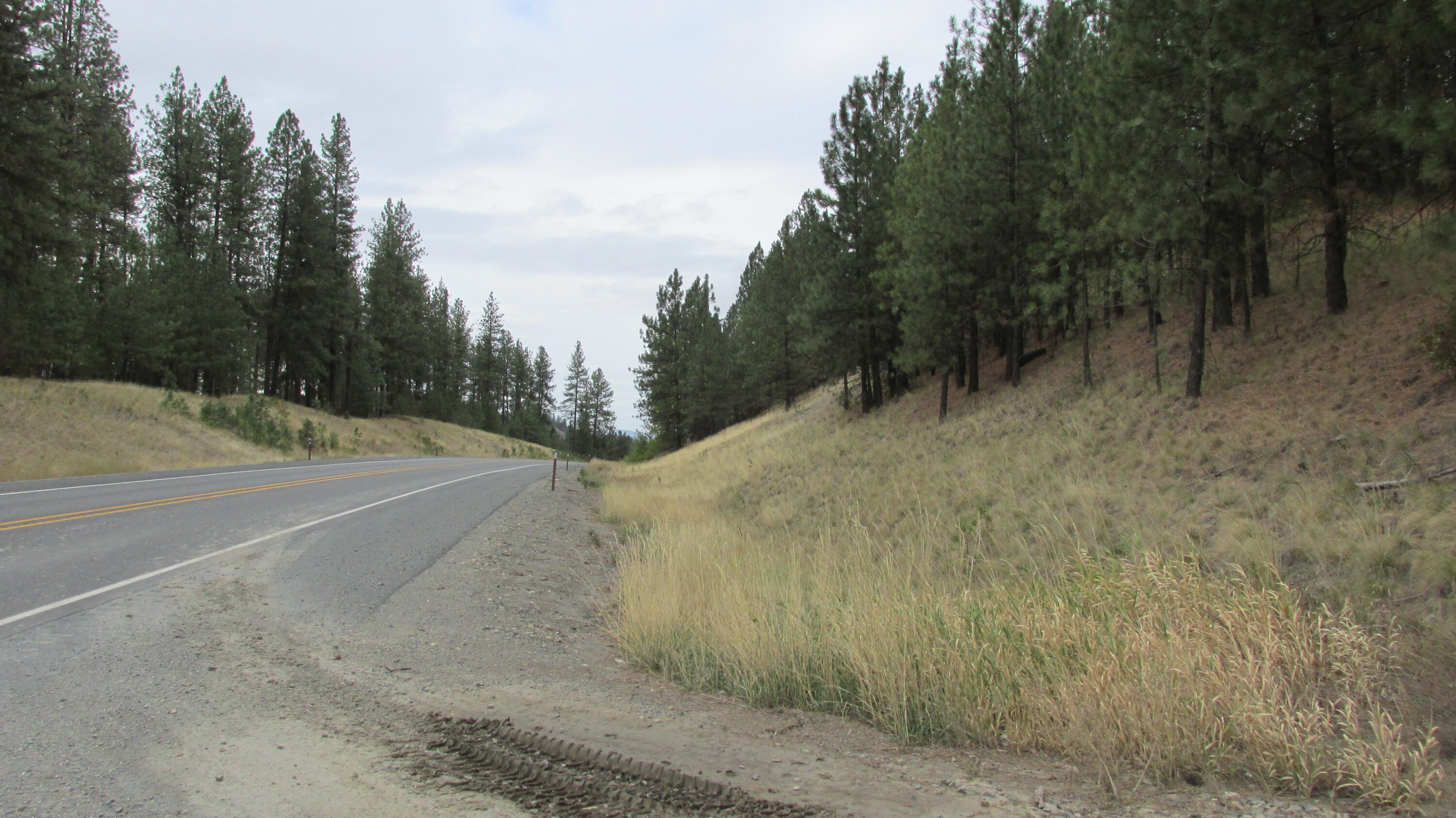 
                        Property photograph at
                        1525 HIGHWAY 395 S
                      