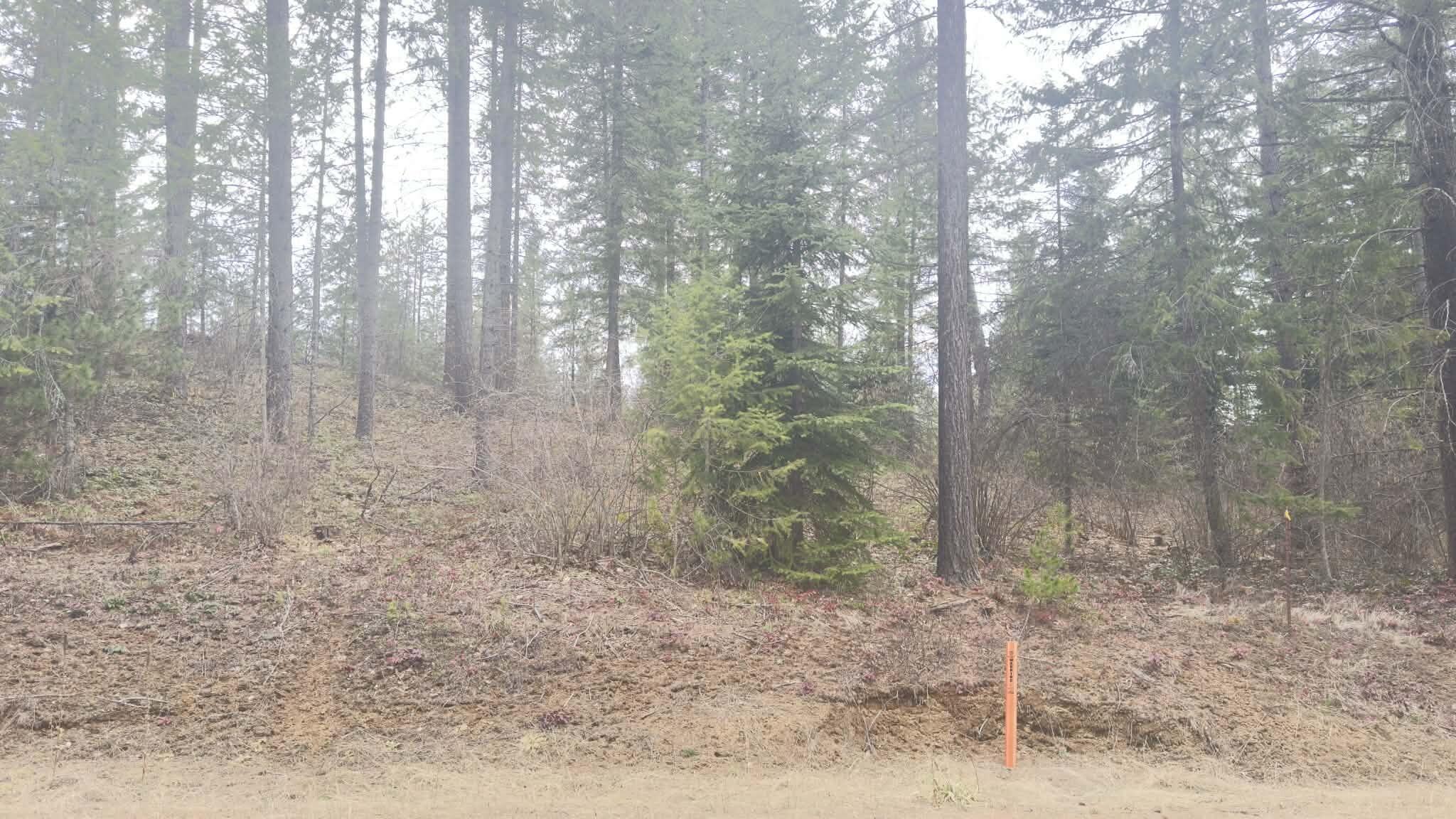 
                        Property photograph at
                        NKN WILDERNESS AVE
                      