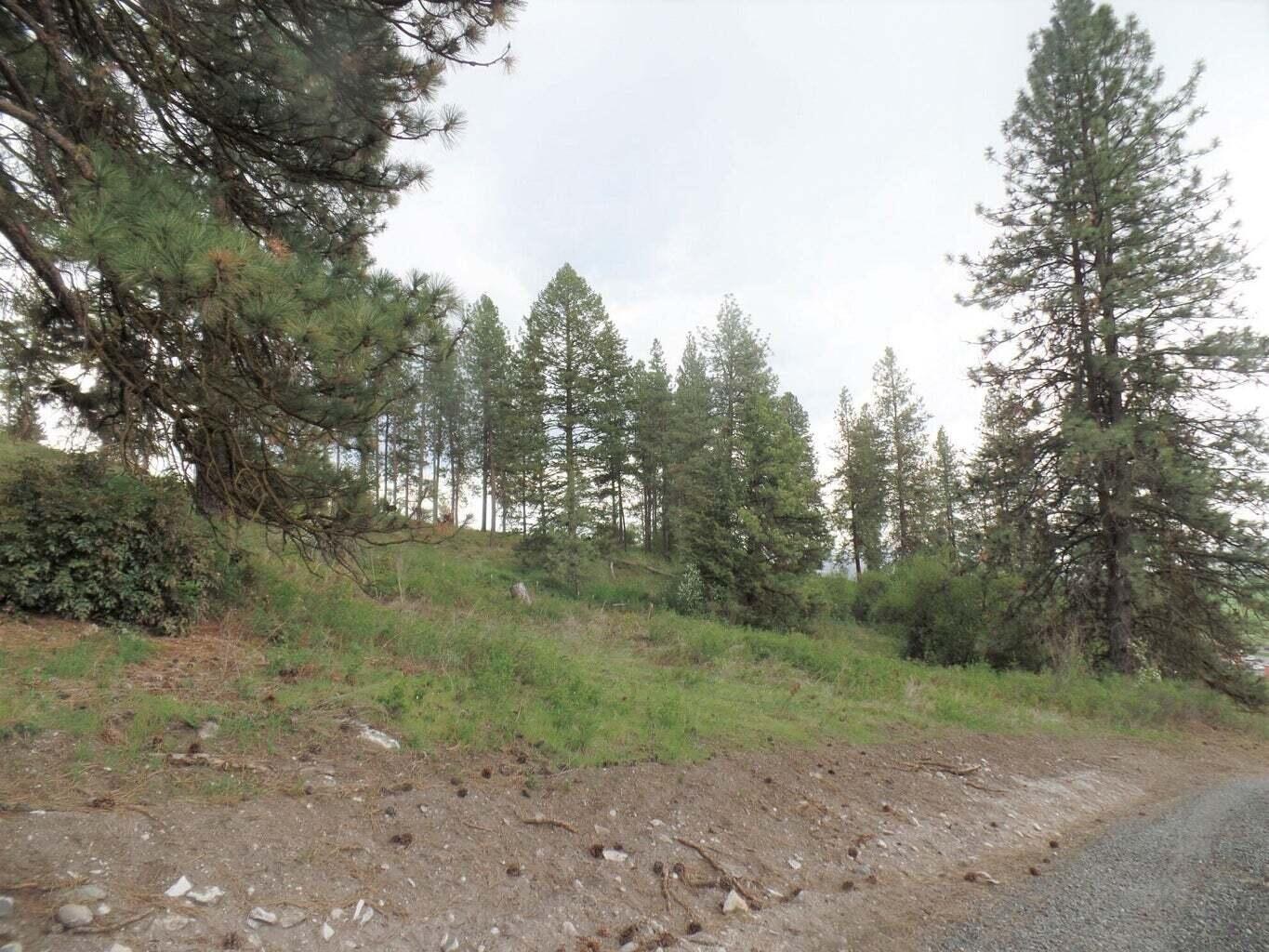 
                        Property photograph at
                        2XX HWY 395 N
                      