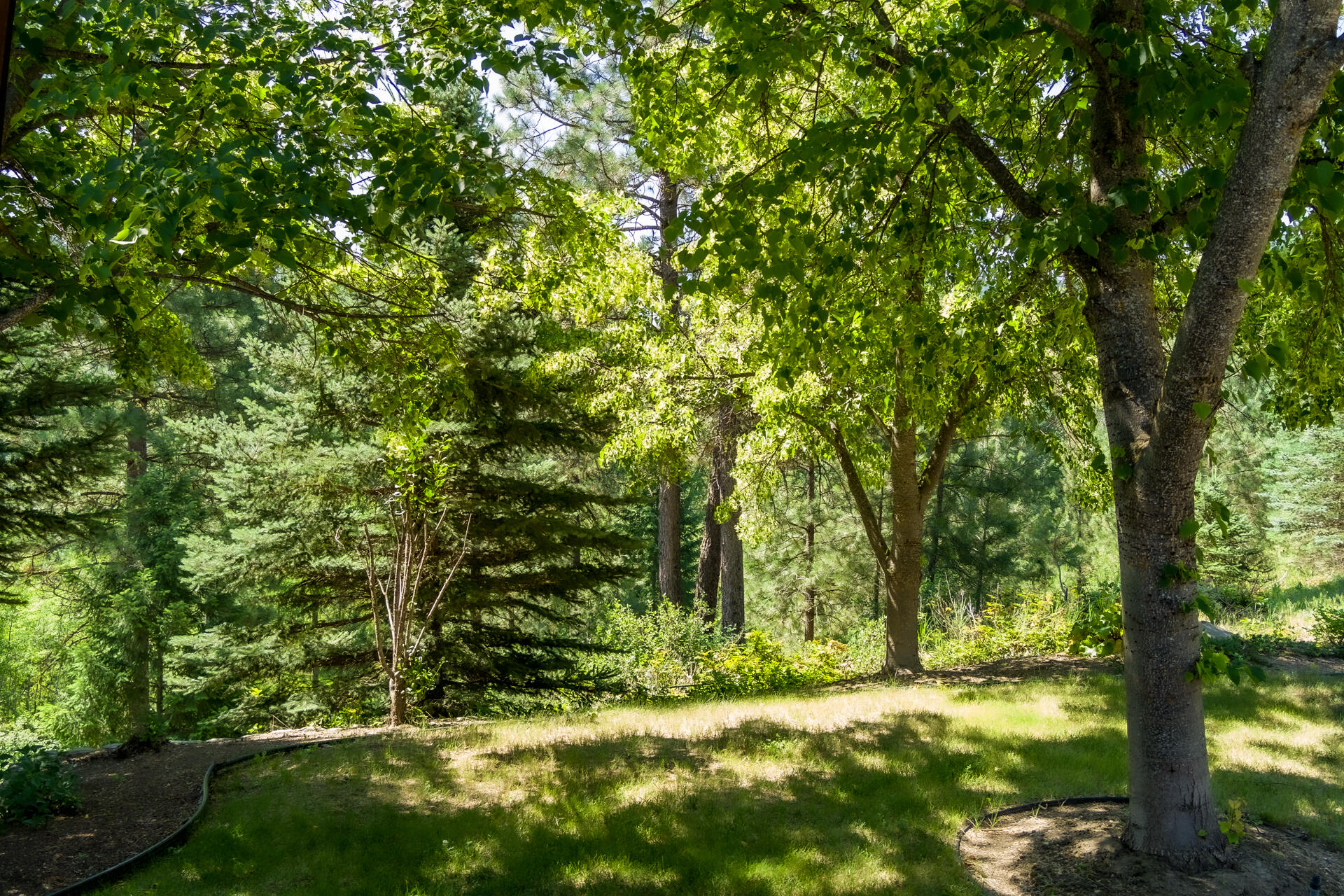 
                        Property photograph at
                        169 BARNABY CREEK SOUTH SIDE RD
                      