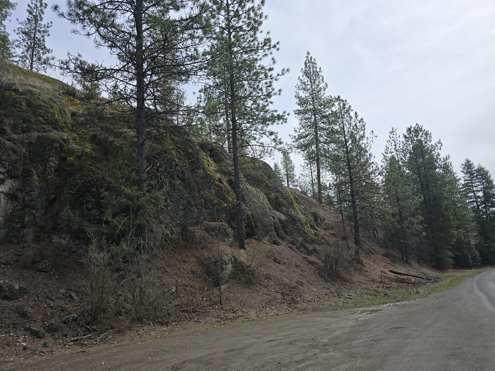
                        Property photograph at
                        3XX GOLD CREEK RD
                      