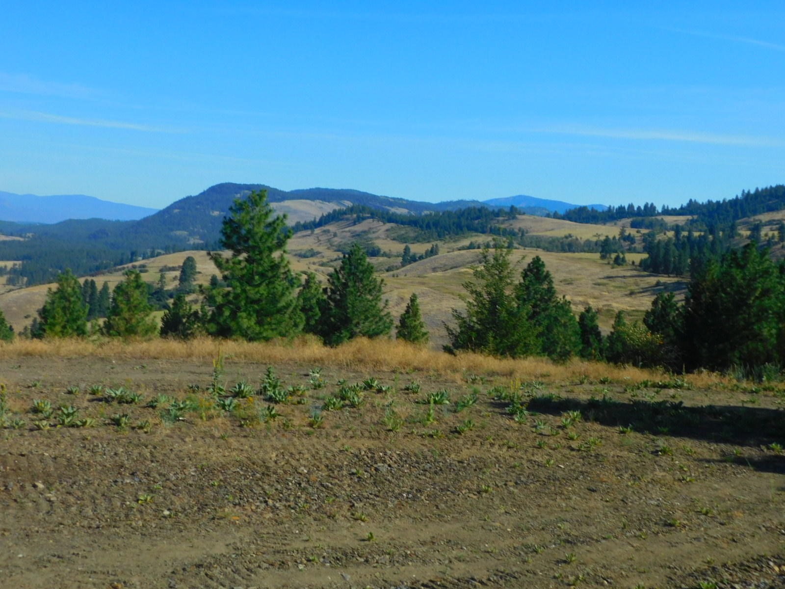 
                        Property photograph at
                        TBD SPIRIT RIDGE WAY
                      