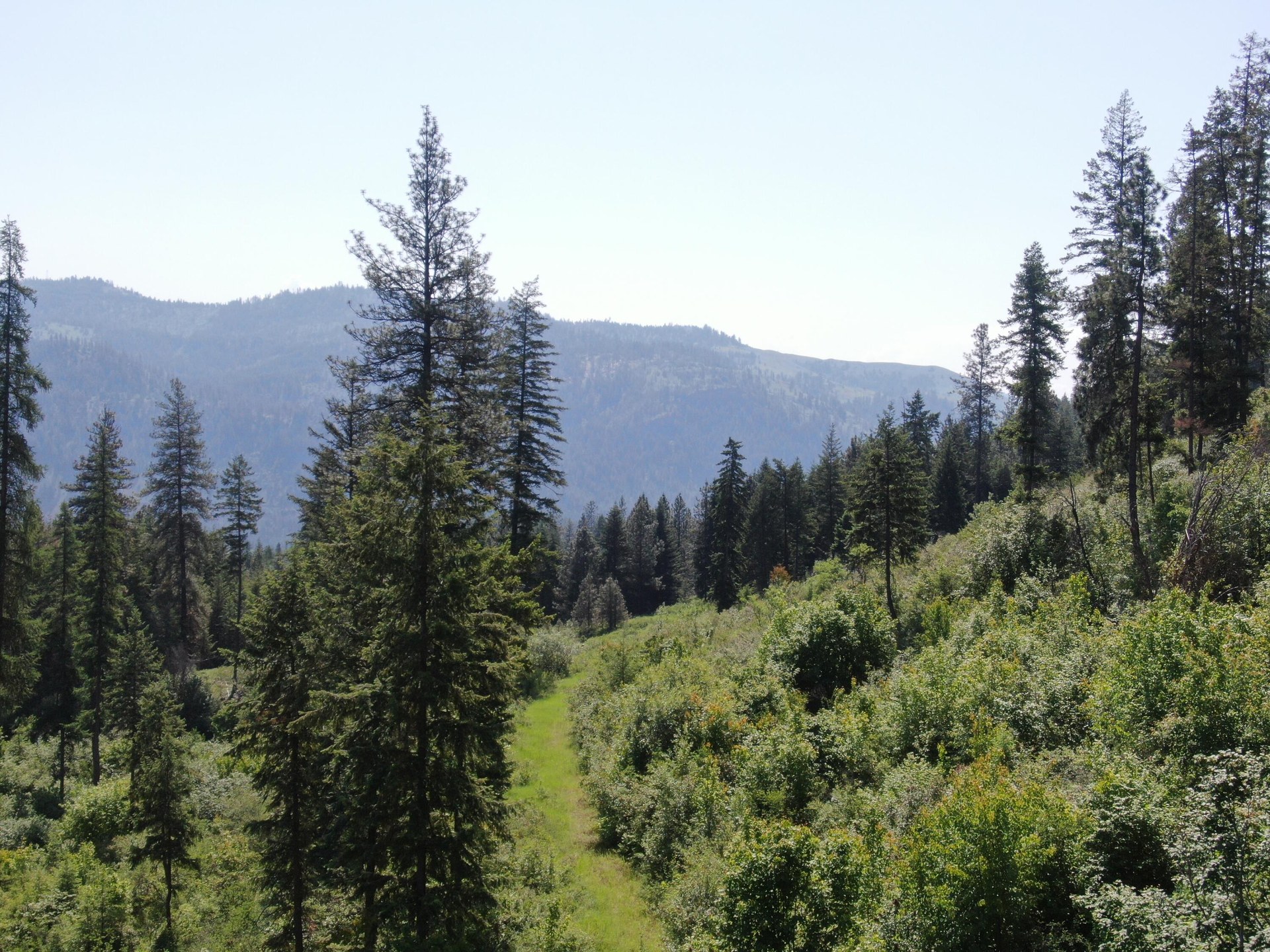 
                        Property photograph at
                        LOT 4 MATSEN CREEK RD
                      