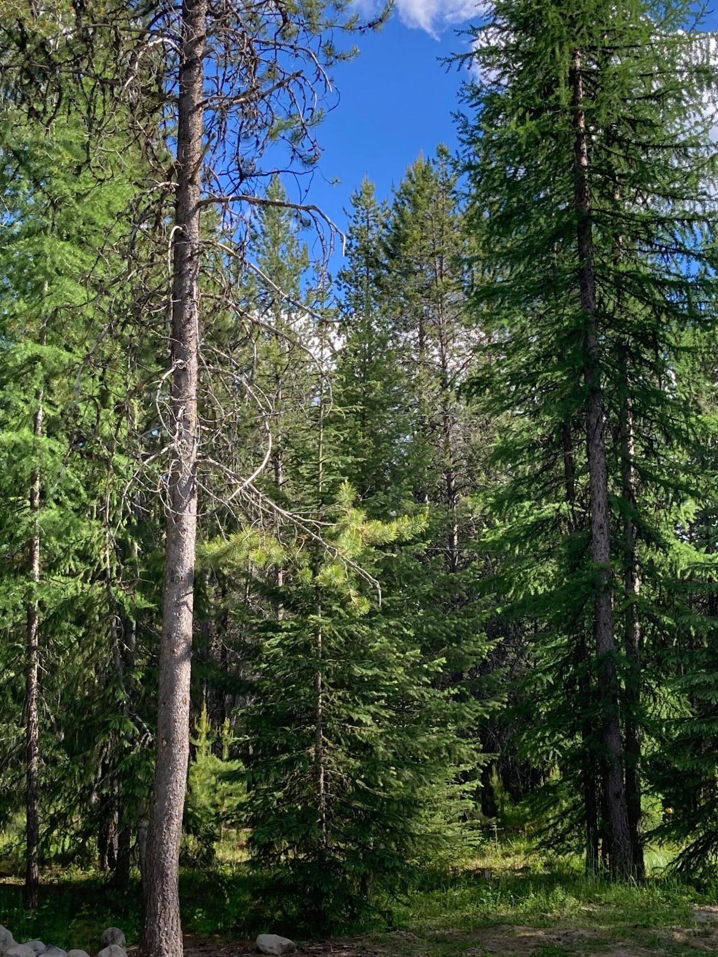 
                        Property photograph at
                        1496 Q HIGHWAY 20 E
                      