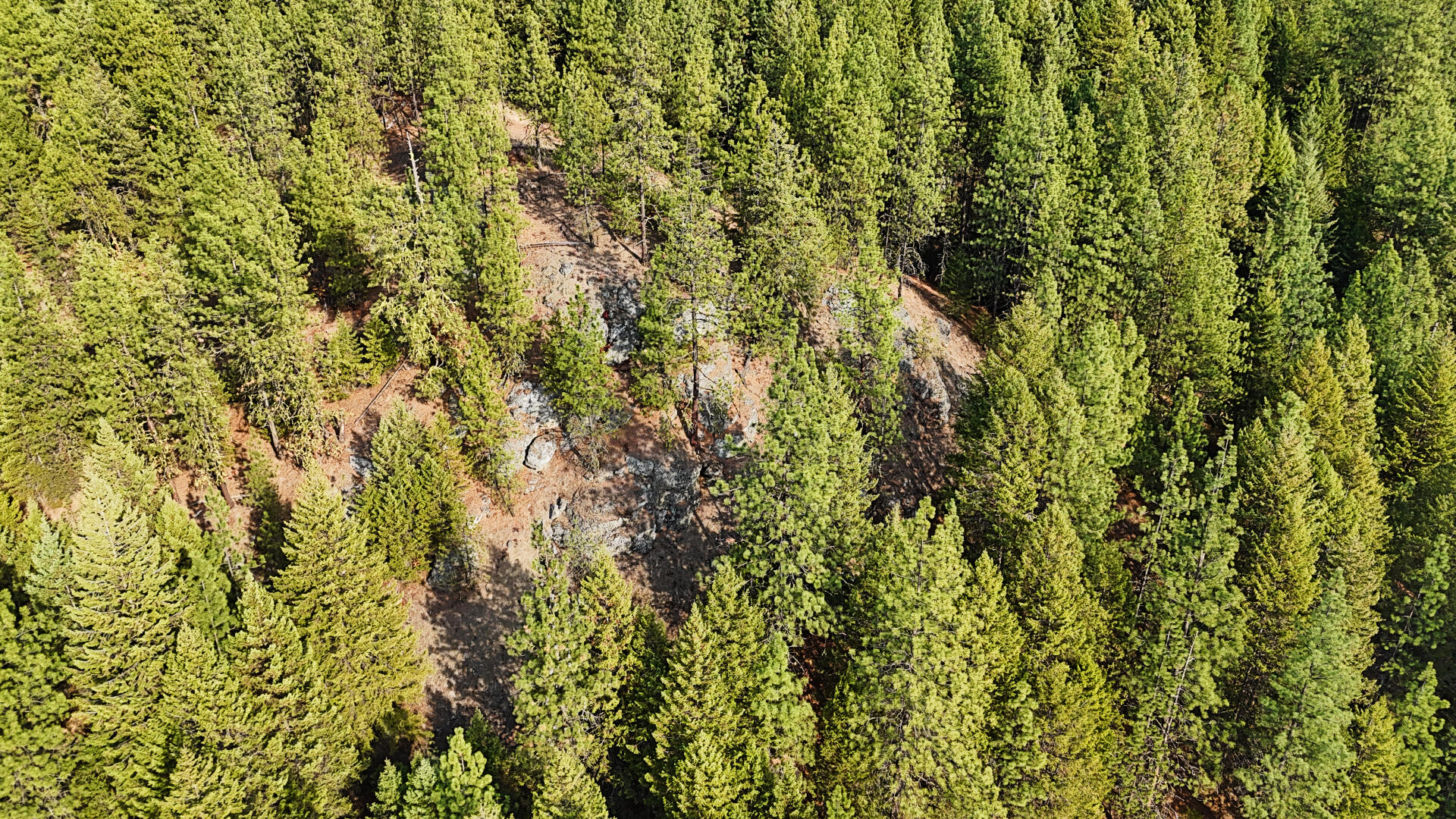 
                        Property photograph at
                        1631Q BONANZA HILL RD N
                      