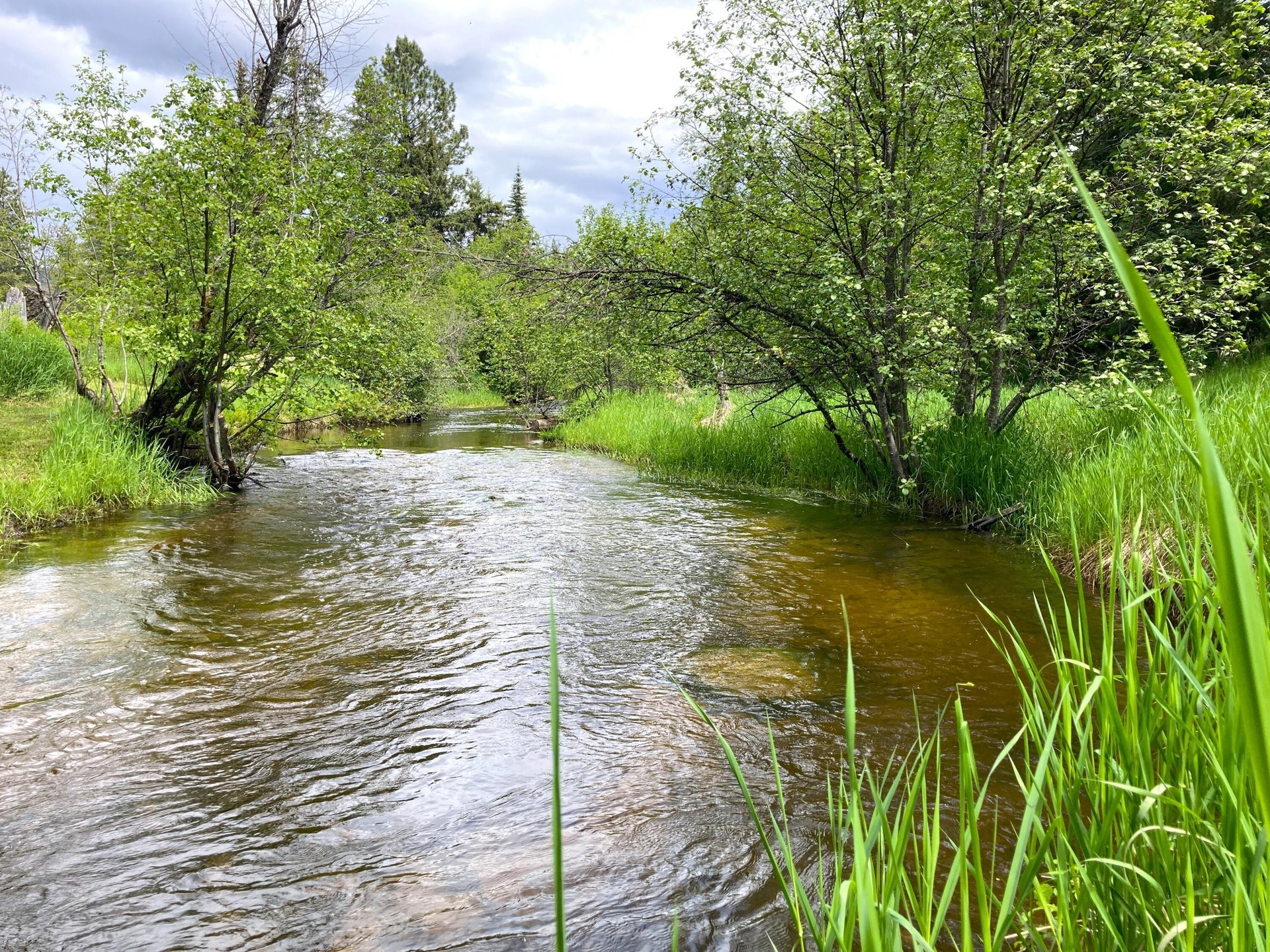 
                        Property photograph at
                        1496 E HWY 20 XX
                      