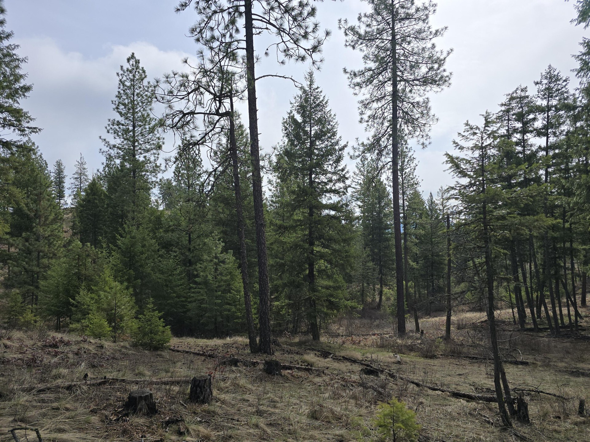 
                        Property photograph at
                        3XX GOLD CREEK RD
                      