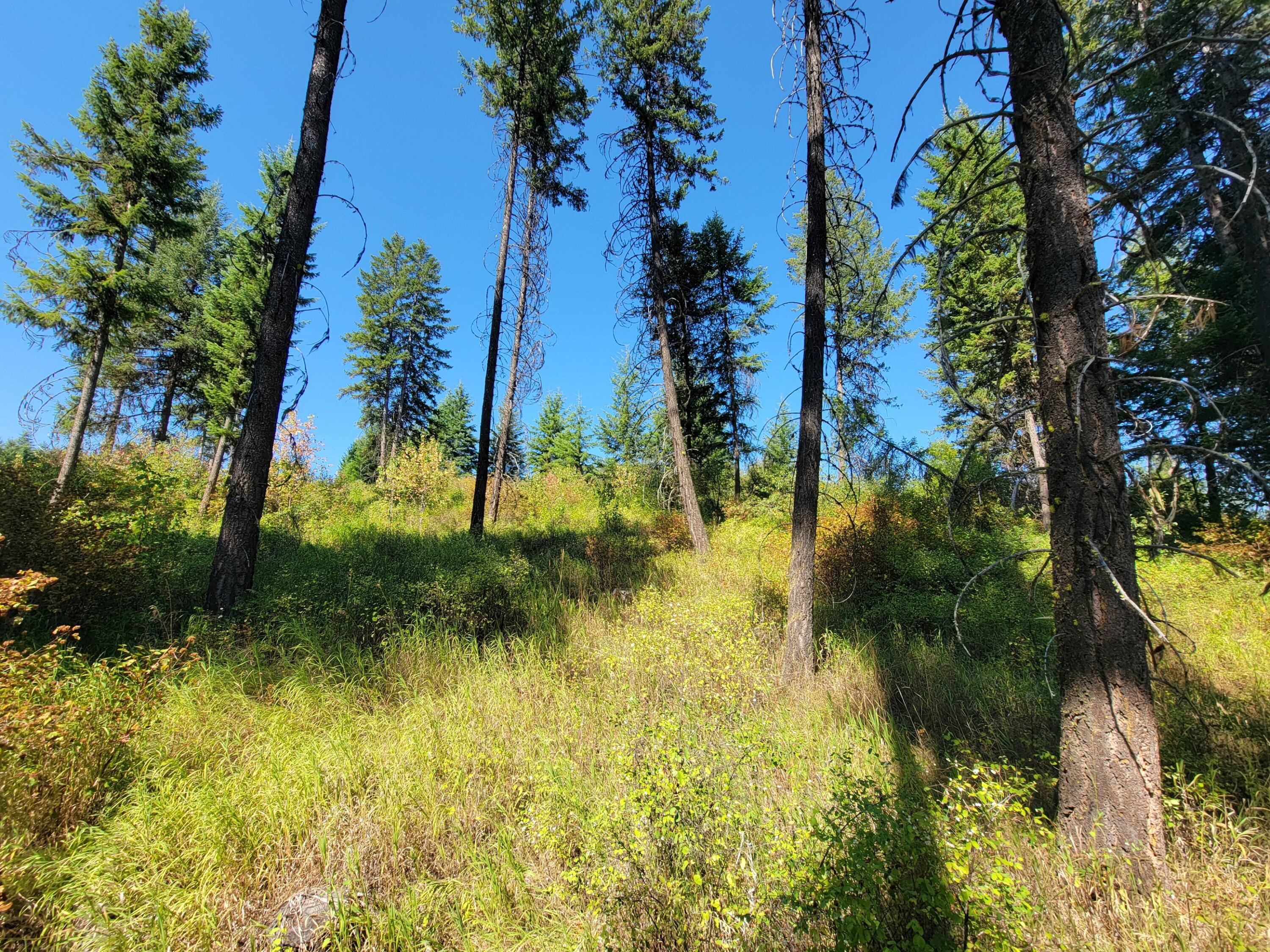 
                        Property photograph at
                        TBD LONE RANCH RD
                      