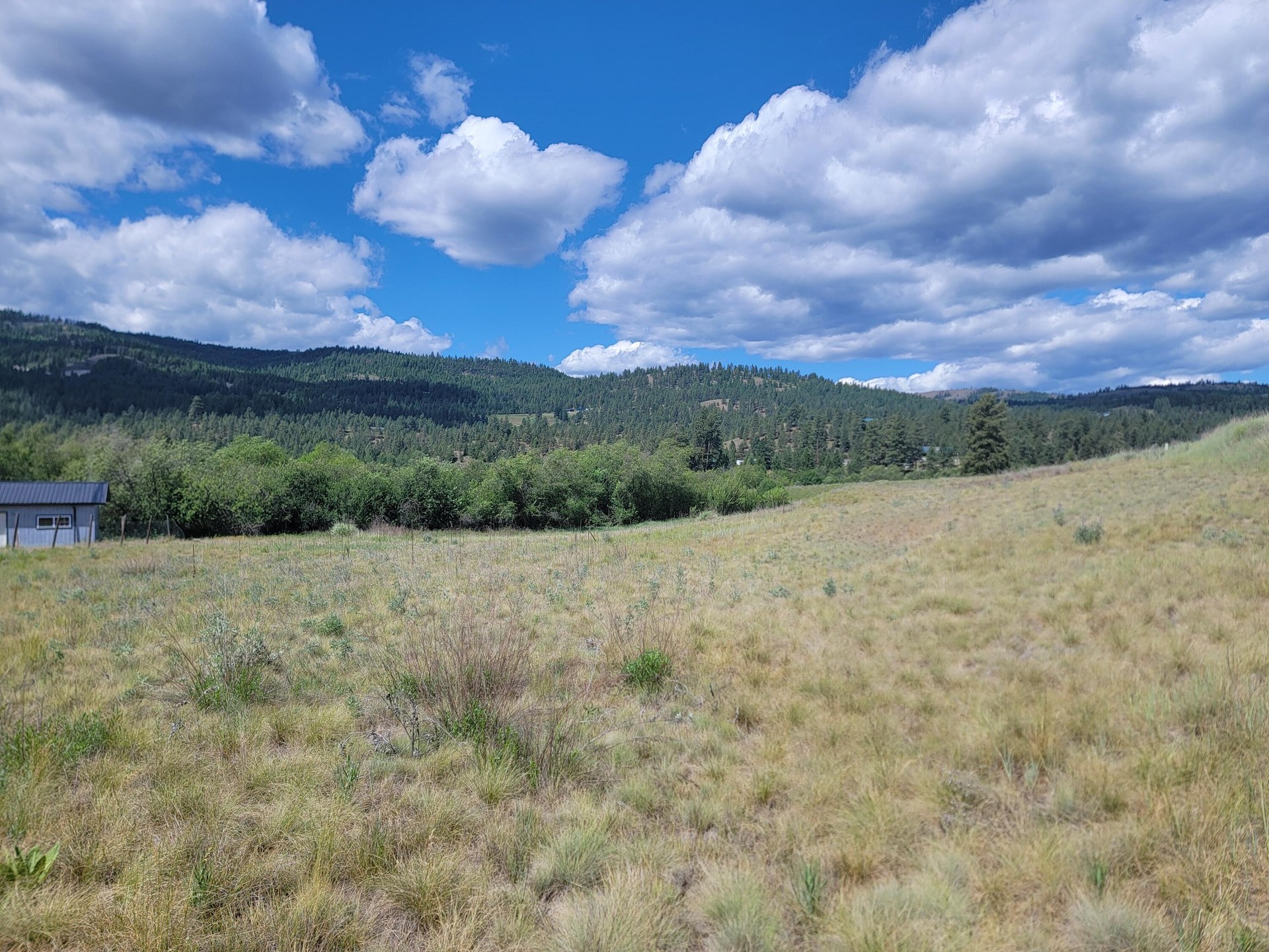 
                        Property photograph at
                        TBD CURLEW DR
                      