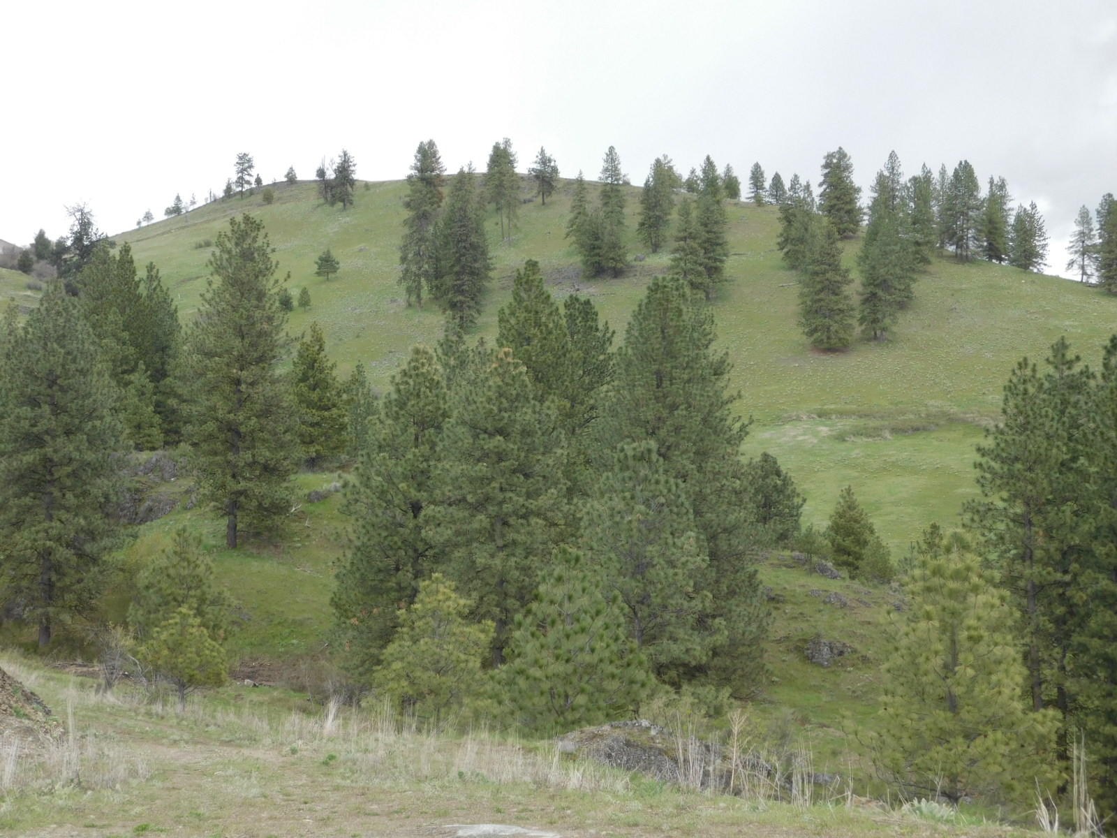 
                        Property photograph at
                        TBD SPIRIT RIDGE WAY
                      