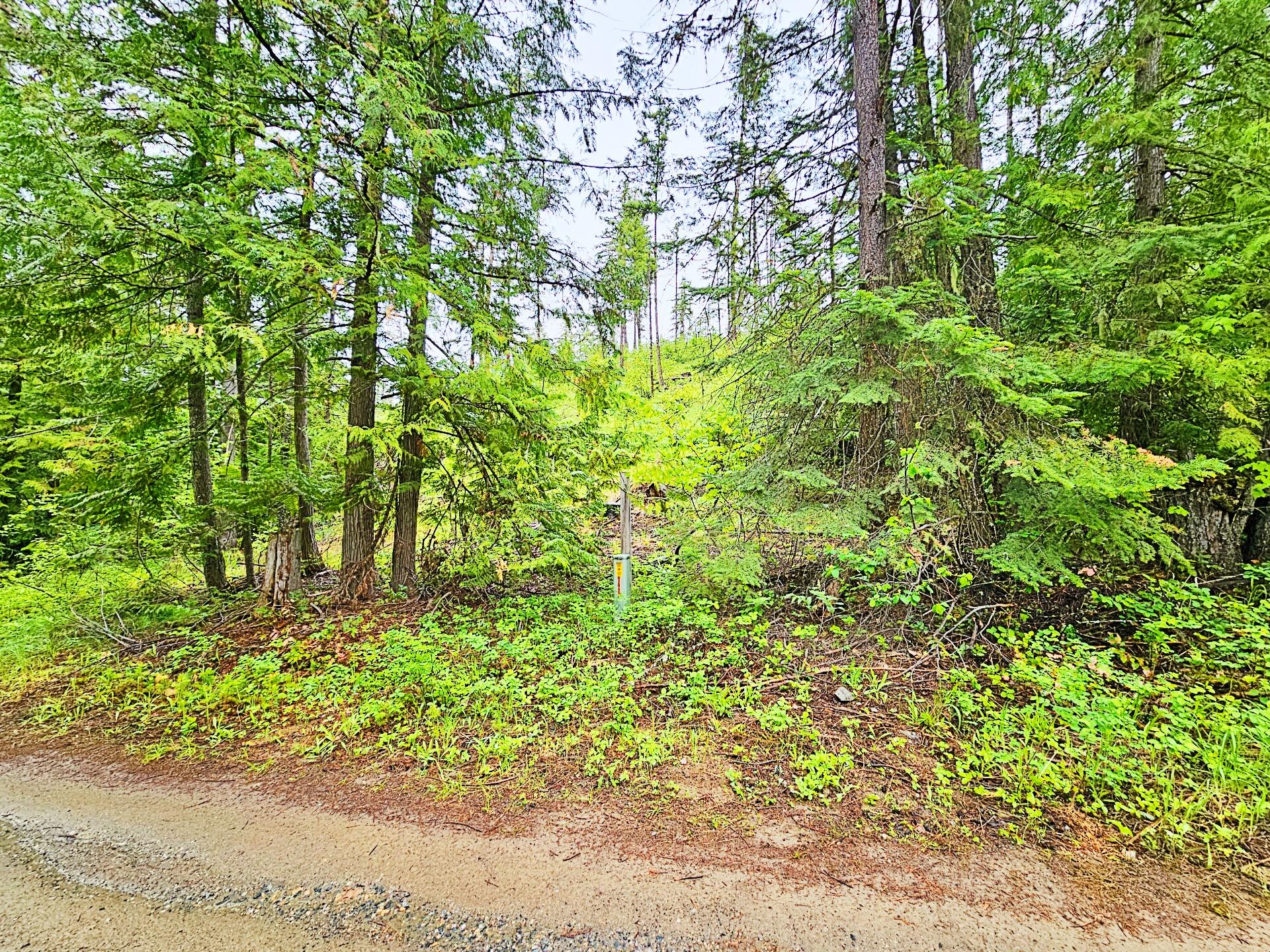 
                        Property photograph at
                        1895 TBD BLUE CREEK ROAD RD
                      