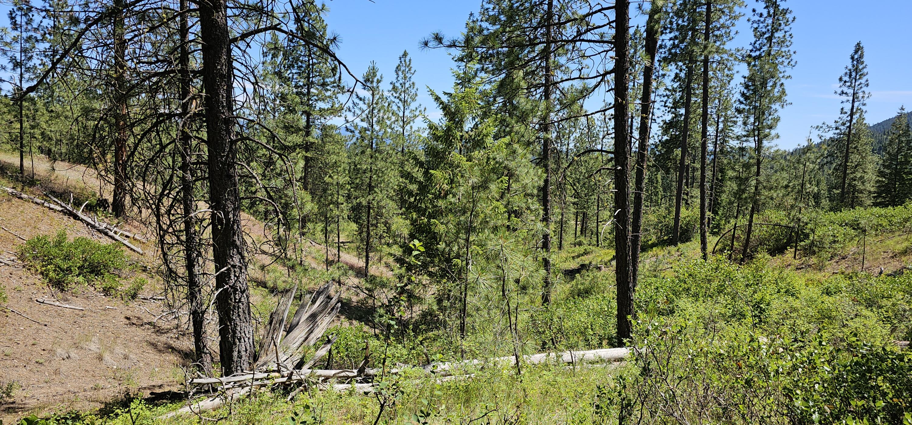 
                        Property photograph at
                        20X LYNX CREEK RD
                      