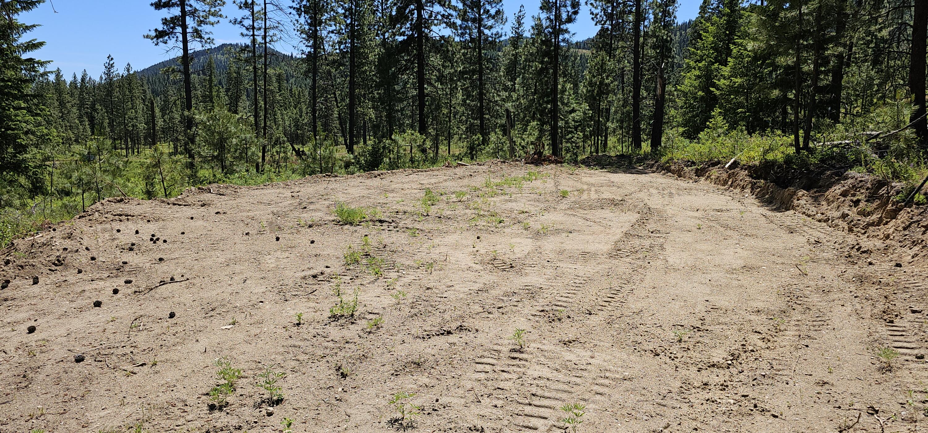 
                        Property photograph at
                        20X LYNX CREEK RD
                      