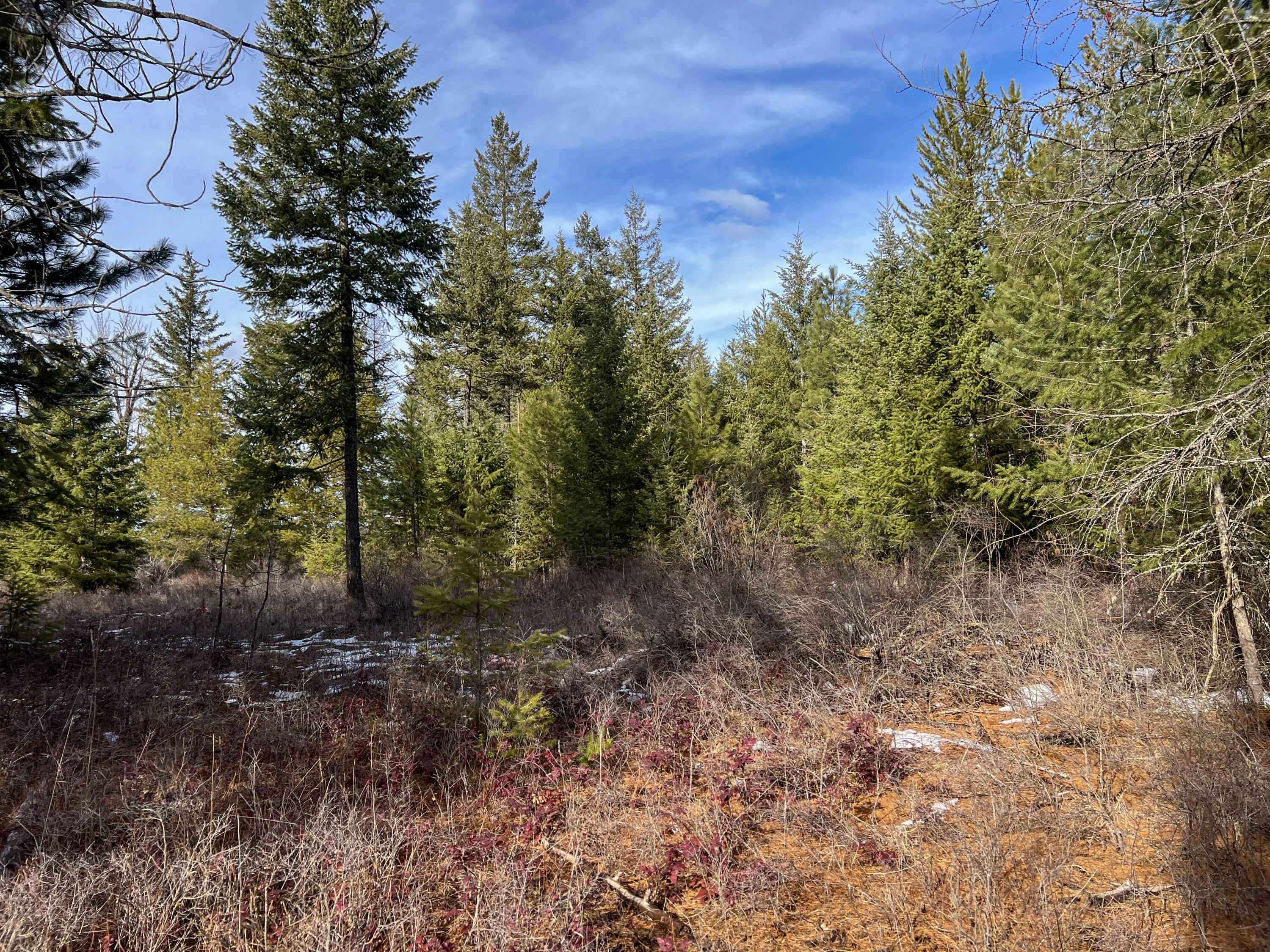 
                        Property photograph at
                        35XX HARMS WAY
                      