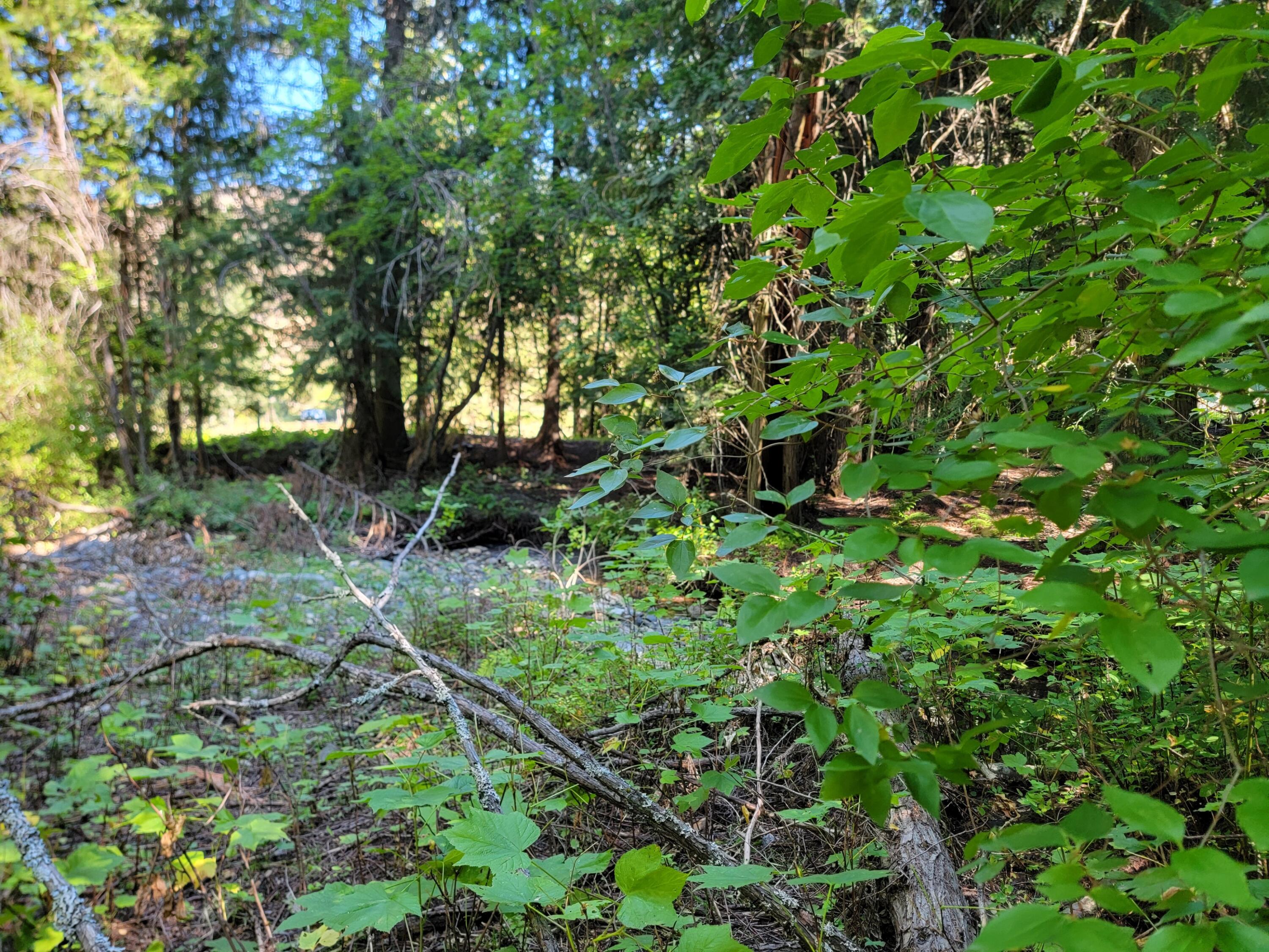 
                        Property photograph at
                        TBD LONE RANCH RD
                      