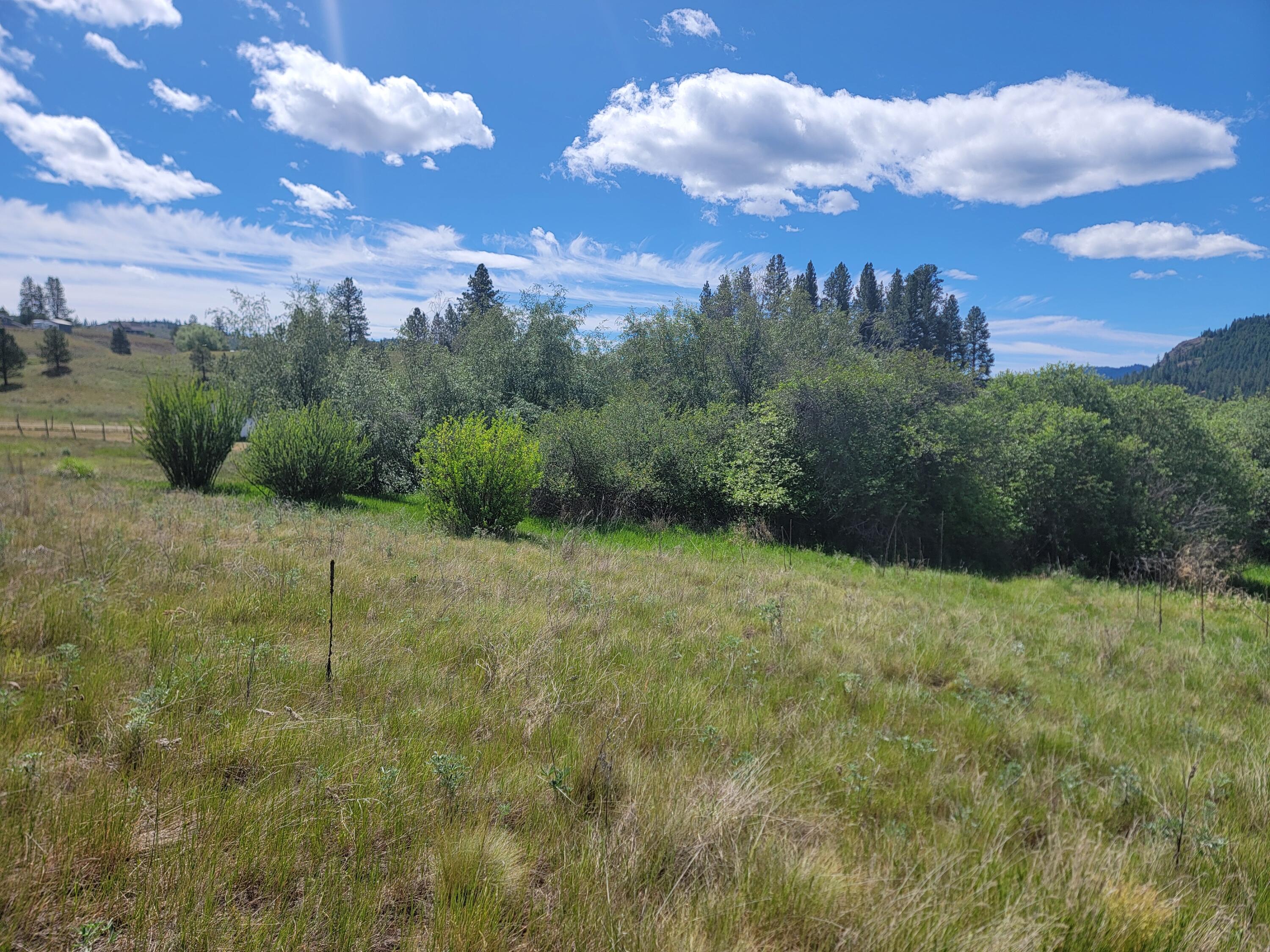 
                        Property photograph at
                        TBD CURLEW DR
                      