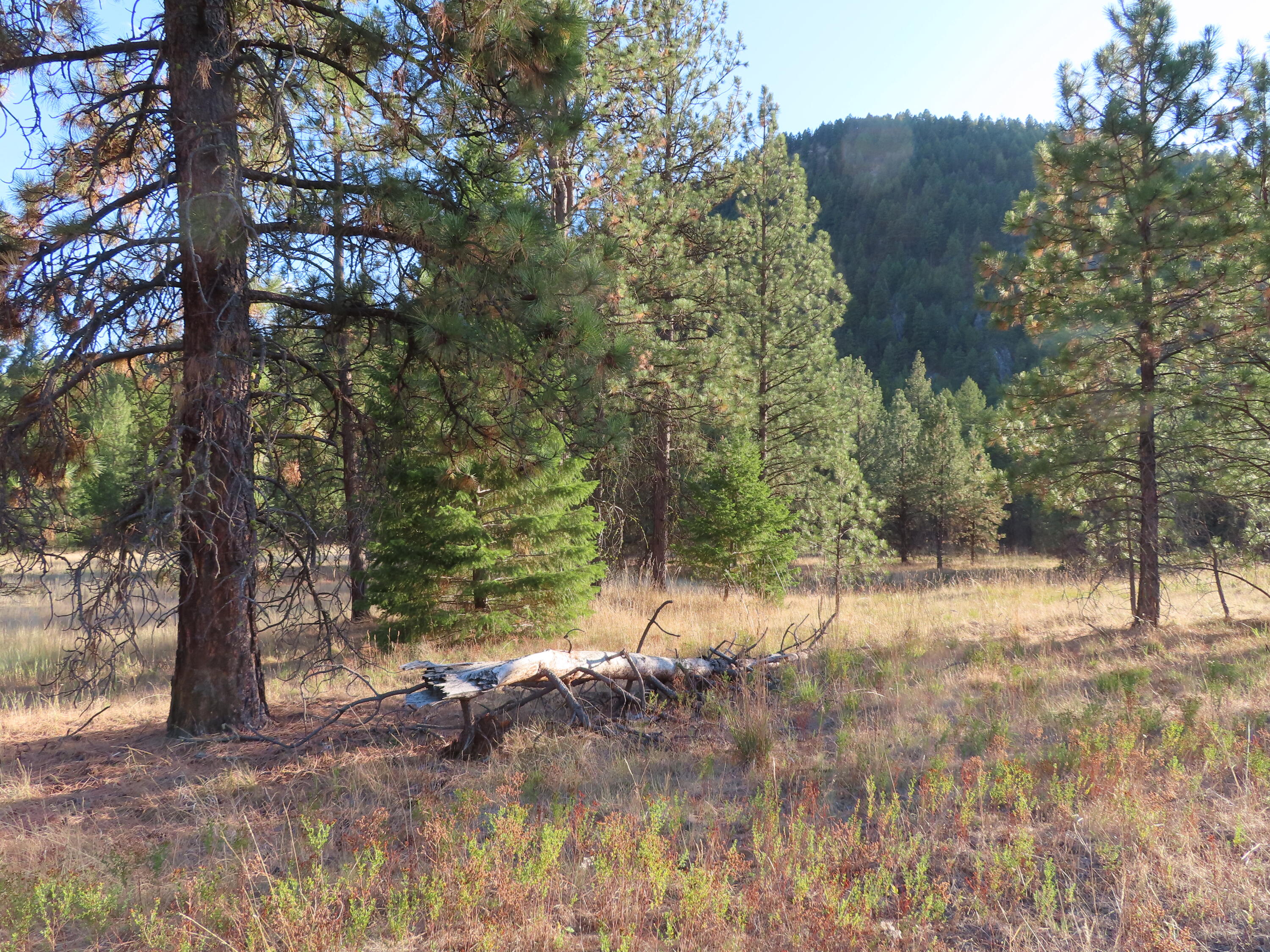 
                        Property photograph at
                        TBD TORODA CREEK RD
                      