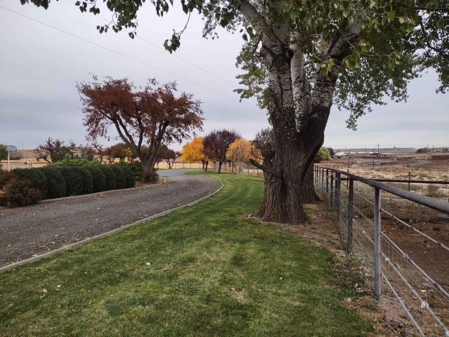 
                        Property photograph at
                        2175 W MCMANAMON RD
                      