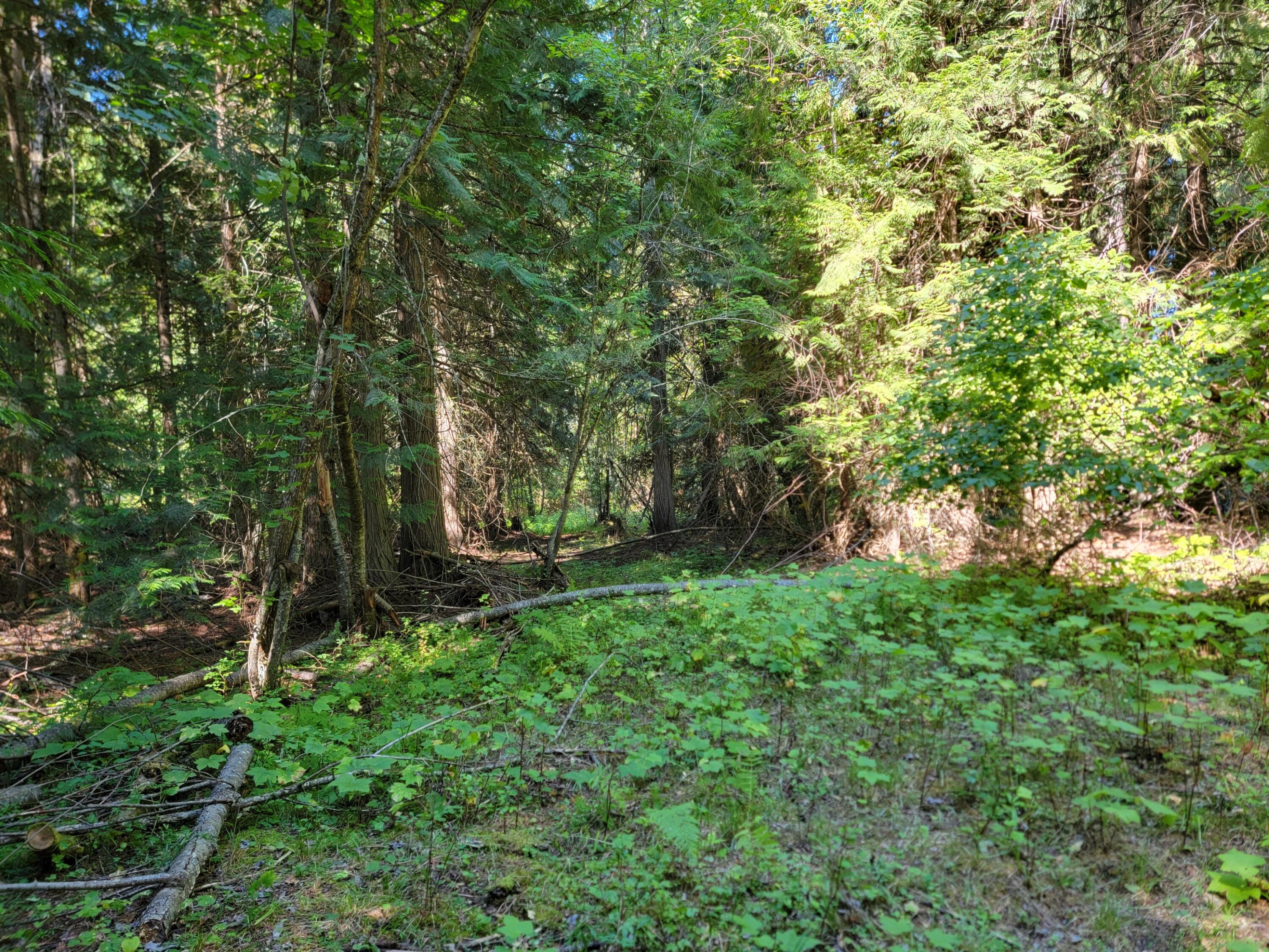 
                        Property photograph at
                        TBD LONE RANCH RD
                      