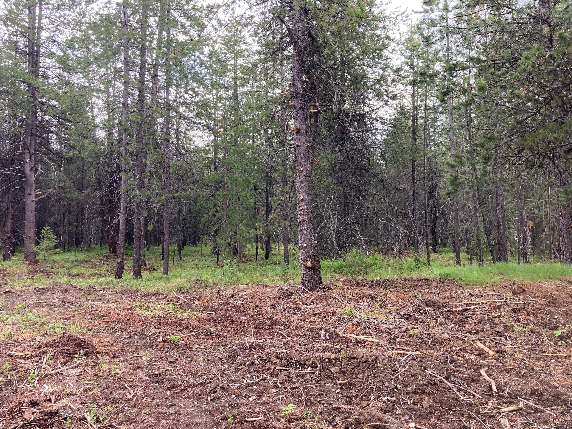 
                        Property photograph at
                        1496 E HWY 20 XX
                      