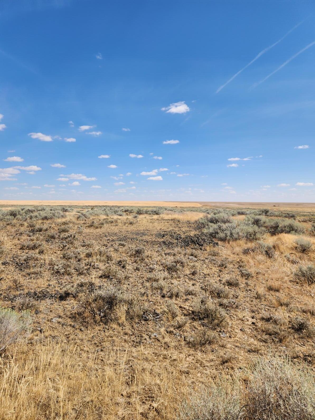 
                        Property photograph at
                        TBD EARL RD. N.
                      