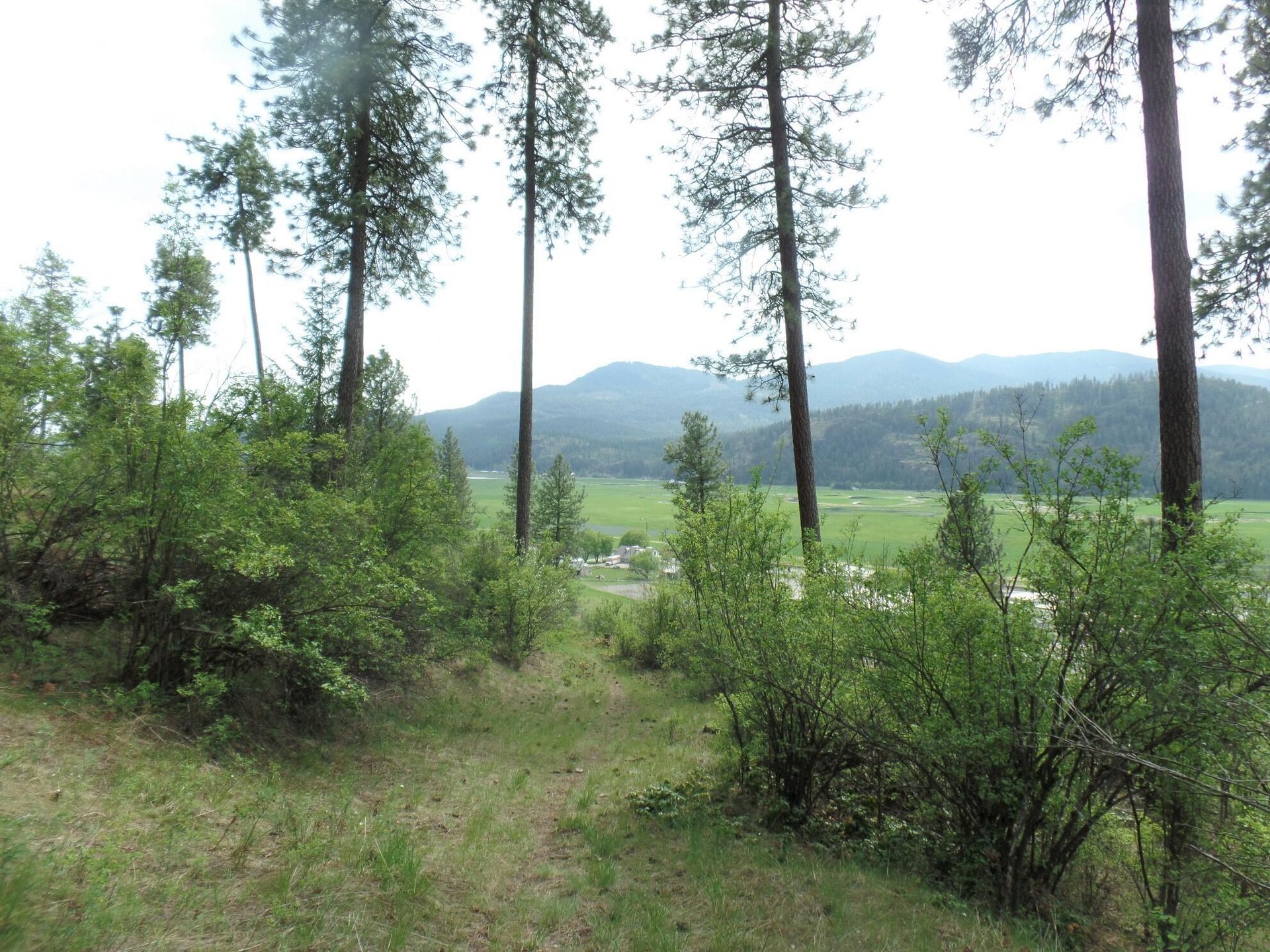 
                        Property photograph at
                        2XX HWY 395 N #A
                      