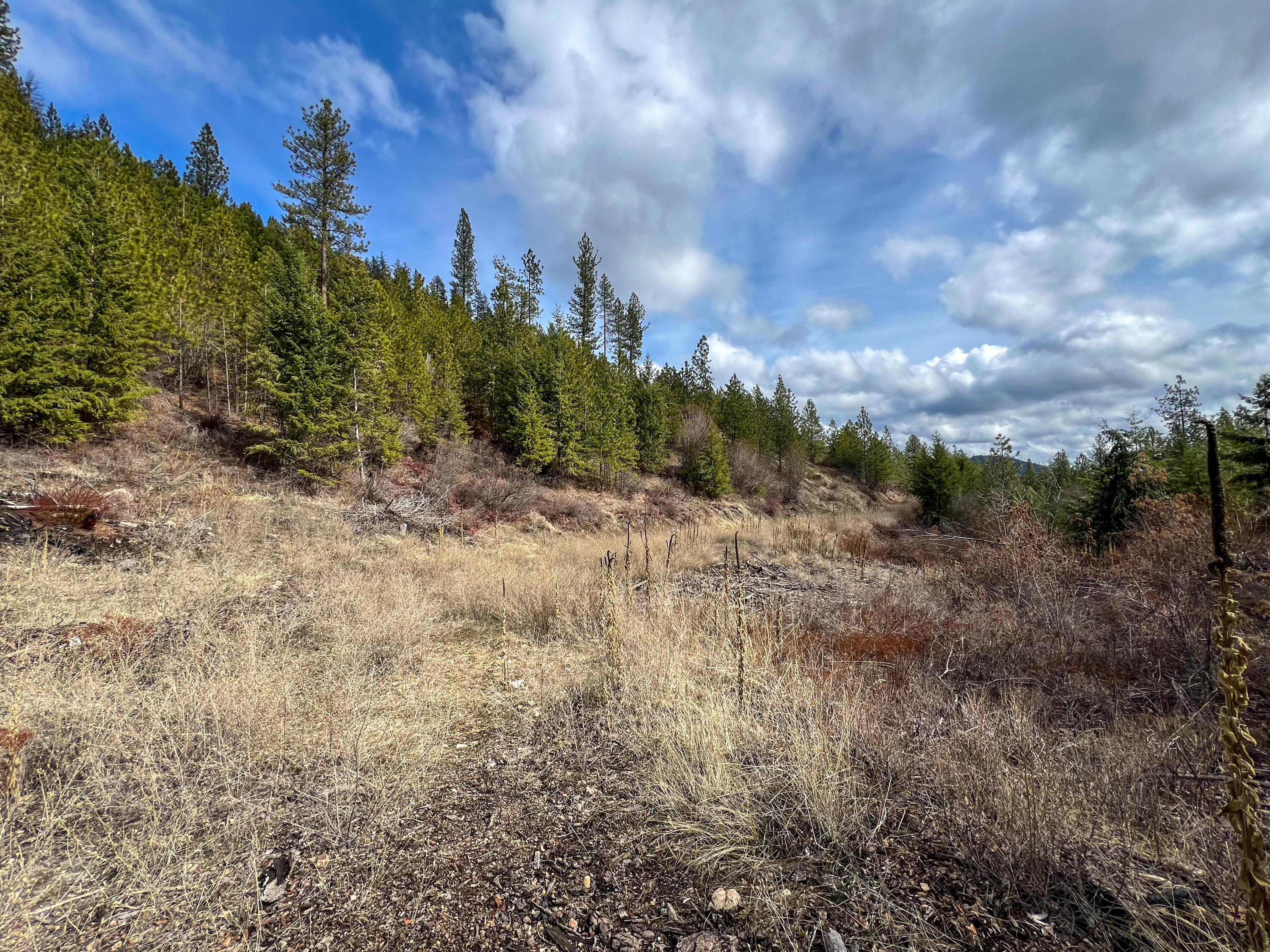 
                        Property photograph at
                        352X GREENE RD
                      