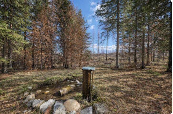 
                        Property photograph at
                        2433B WIDOW RD
                      