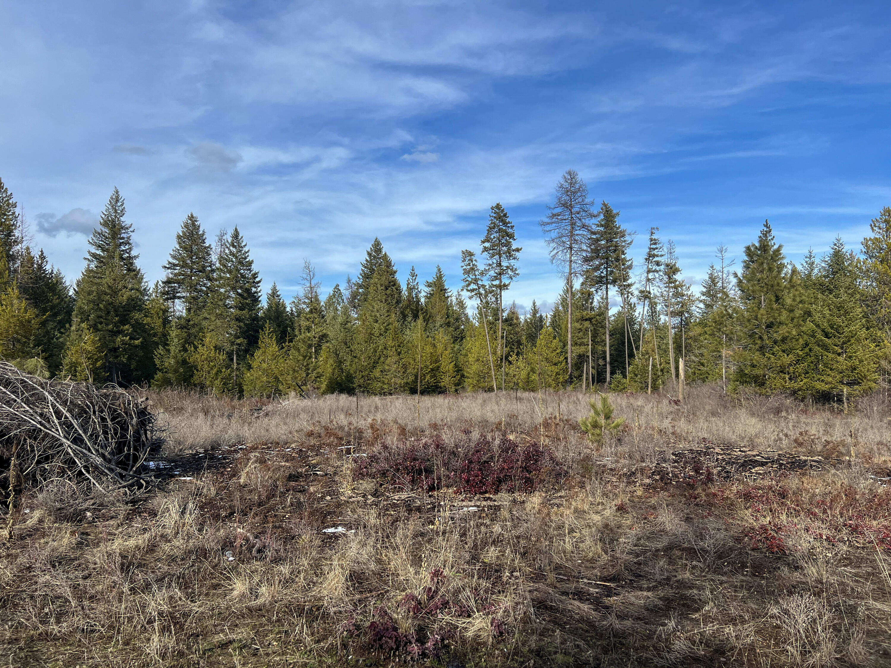 
                        Property photograph at
                        35XX HARMS WAY
                      
