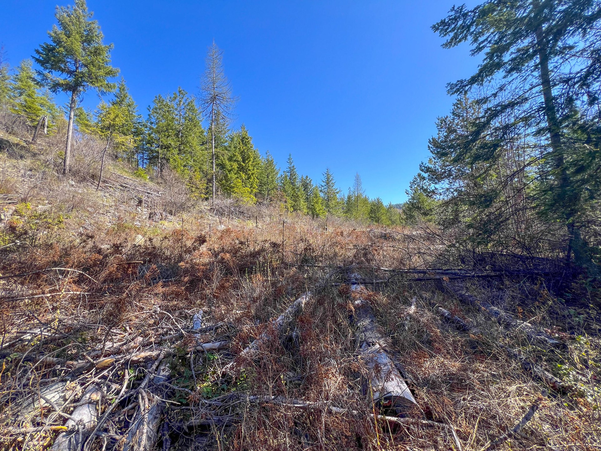 
                        Property photograph at
                        26XX FLOWERY TRAIL RD
                      