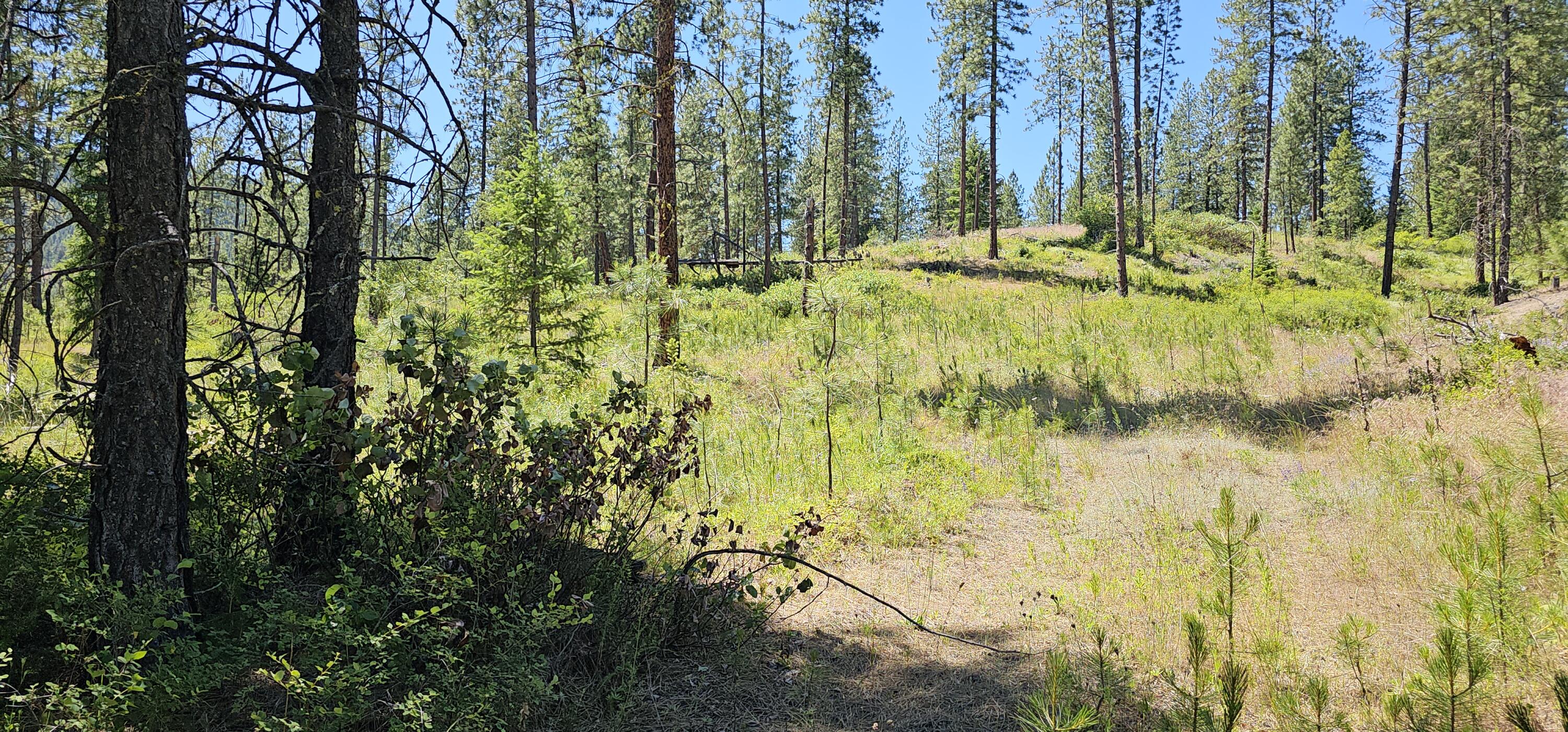 
                        Property photograph at
                        20X LYNX CREEK RD
                      