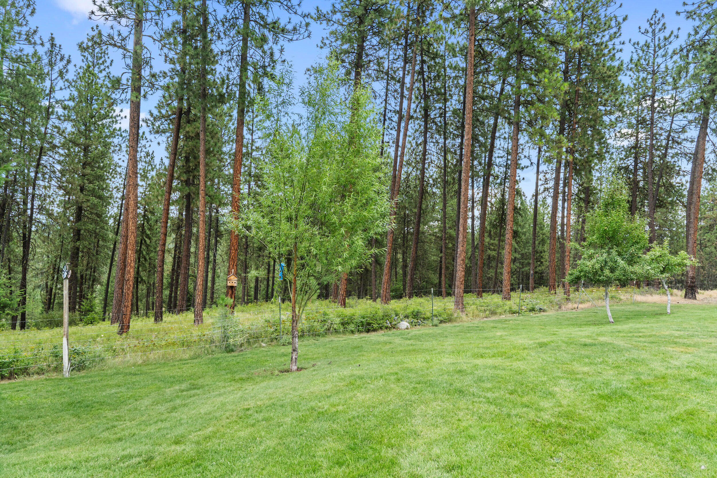 
                        Property photograph at
                        762 MAHONEY RD
                      