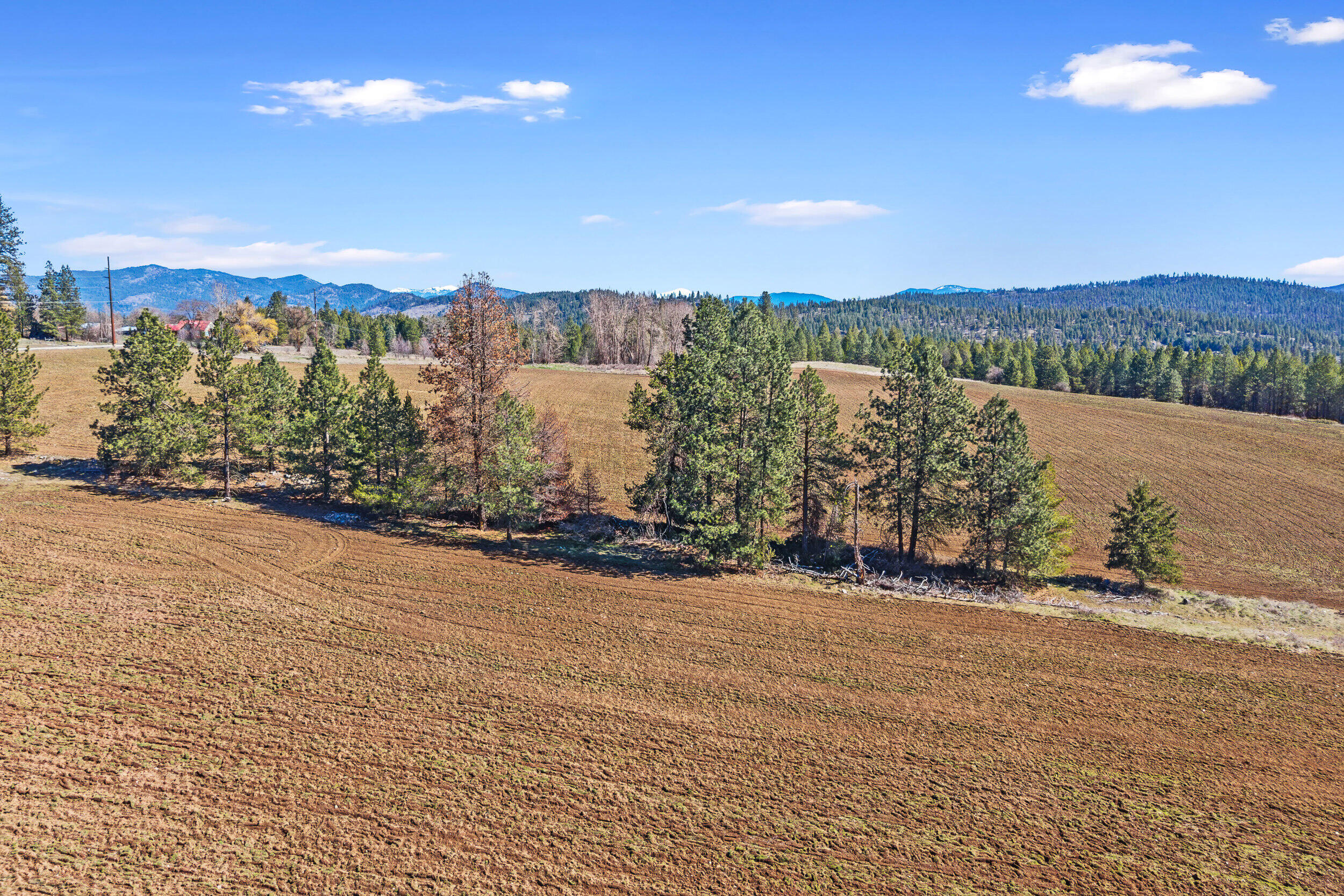 
                        Property photograph at
                        2068 ADDY-GIFFORD RD
                      