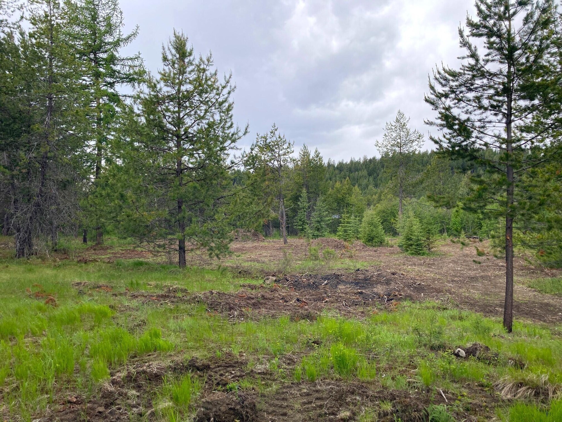 
                        Property photograph at
                        1496 E HWY 20 XX
                      