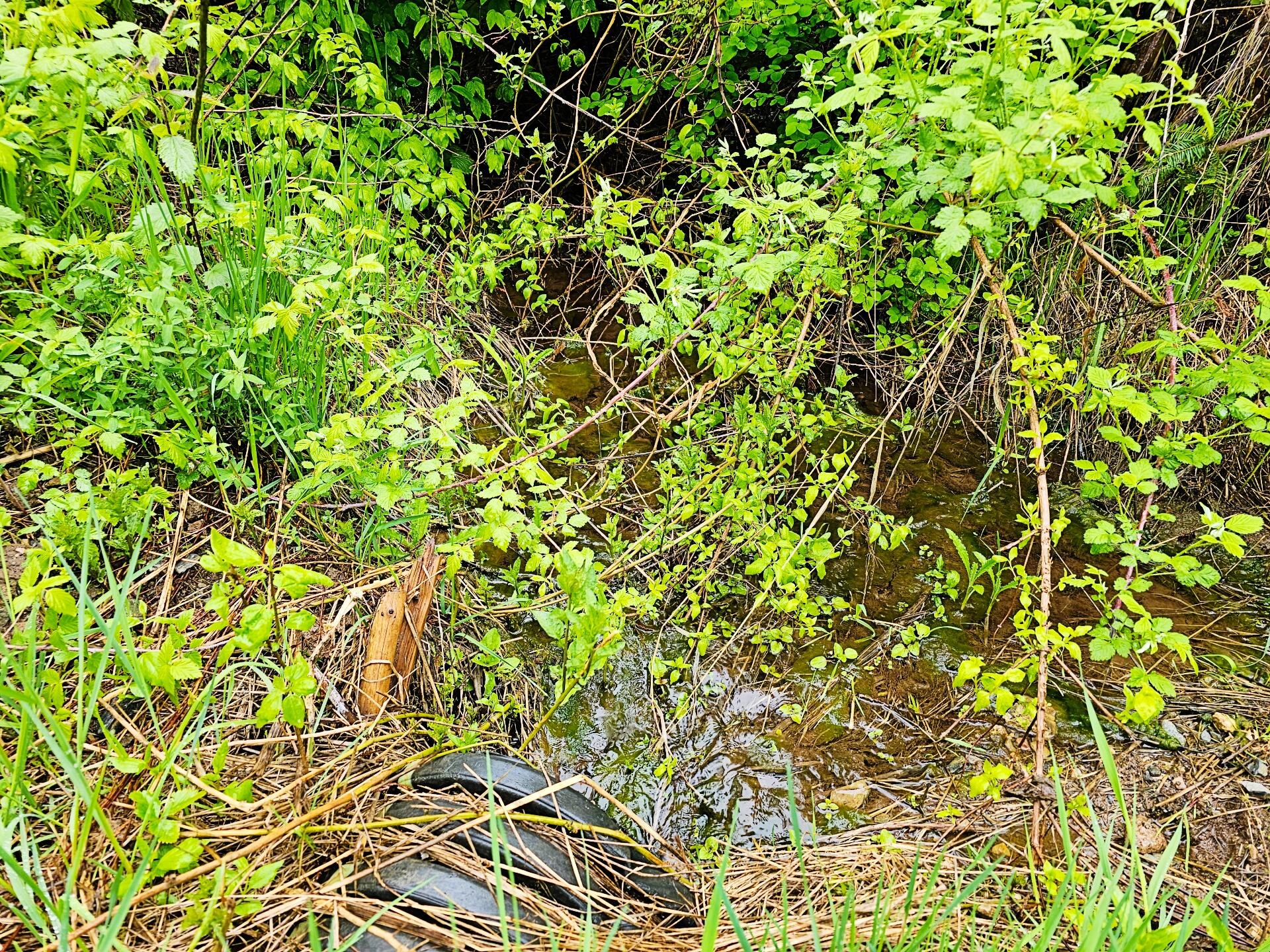 
                        Property photograph at
                        1895 TBD BLUE CREEK ROAD RD
                      