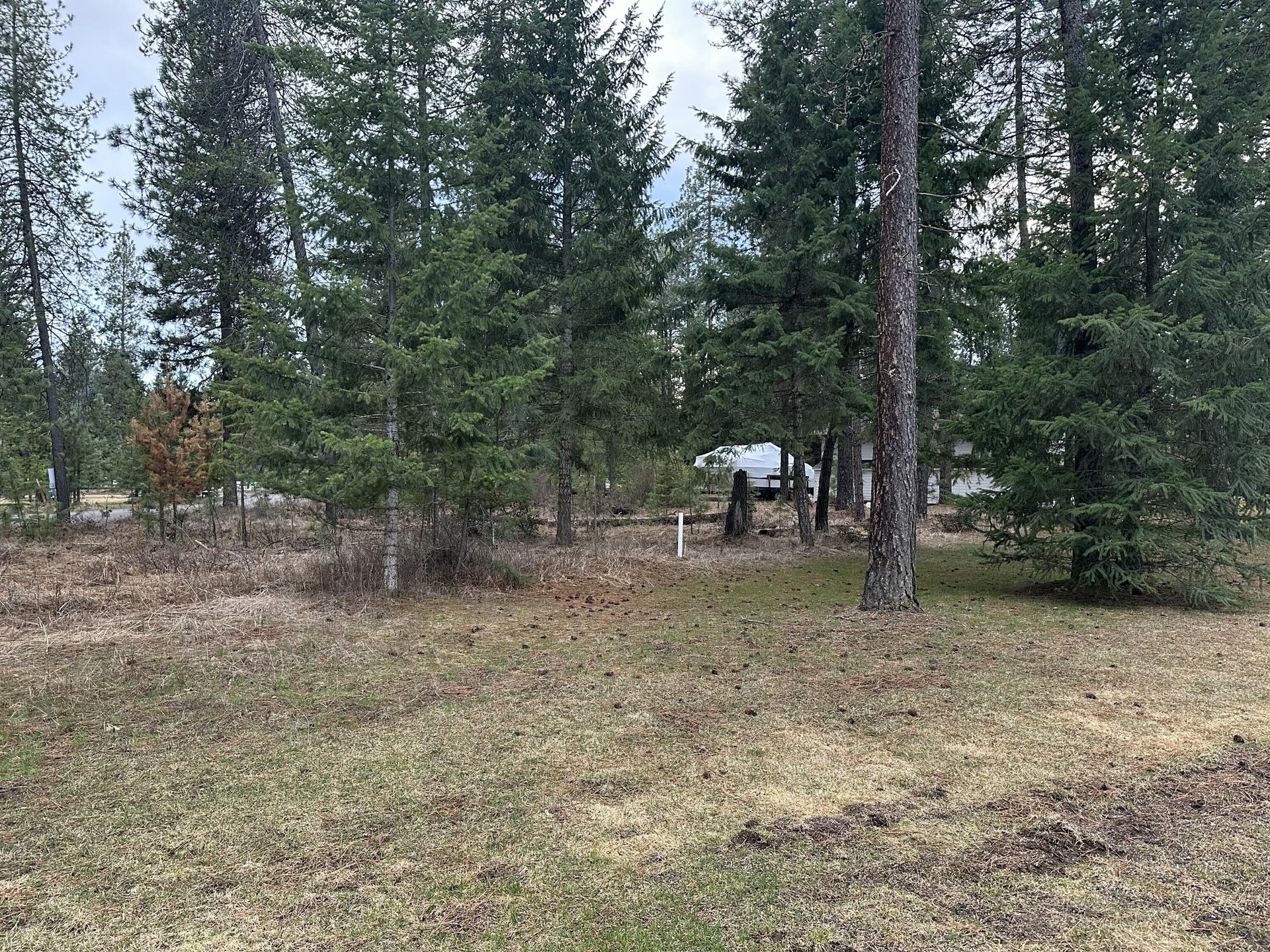 
                        Property photograph at
                        102 W TRAPPERS LOOP
                      