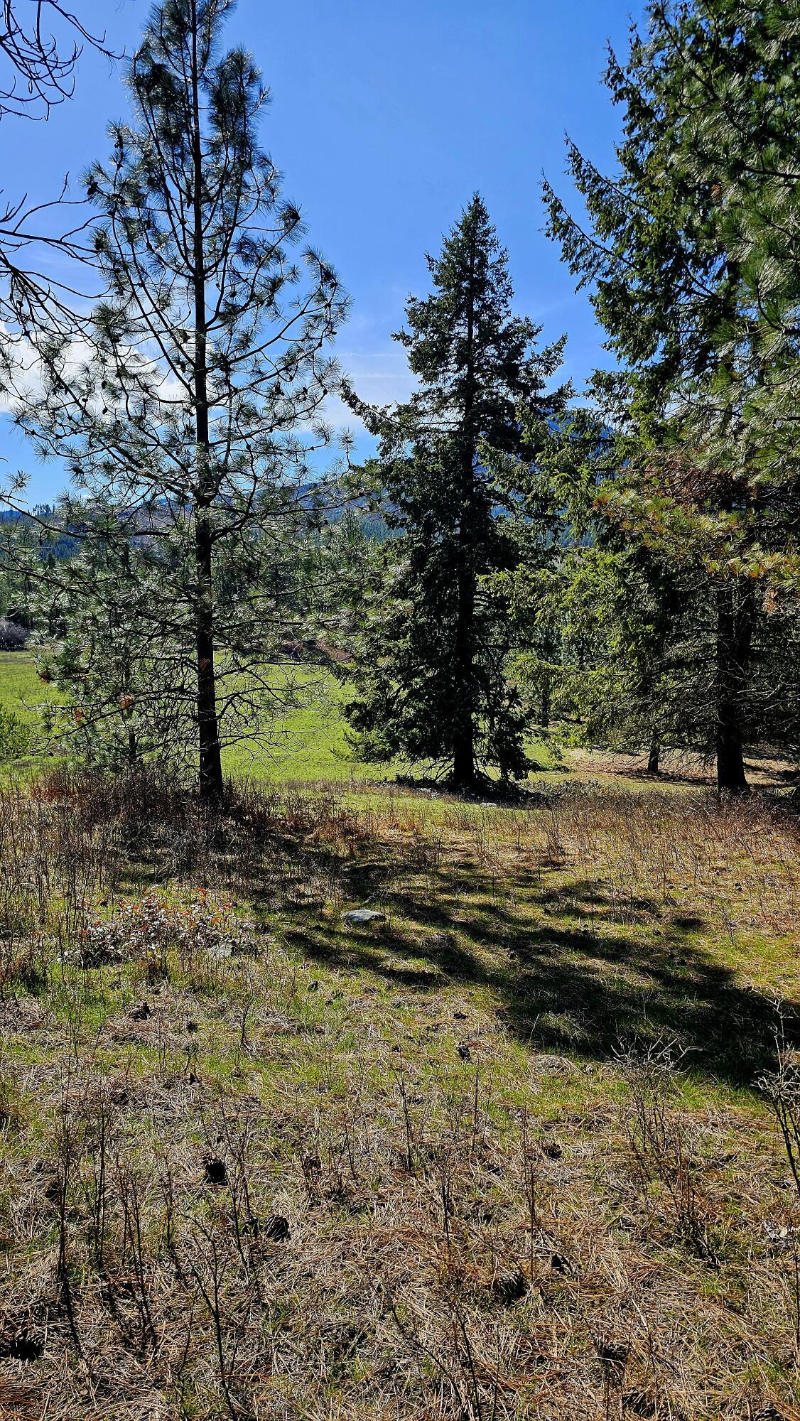 
                        Property photograph at
                        2068 ADDY-GIFFORD RD
                      