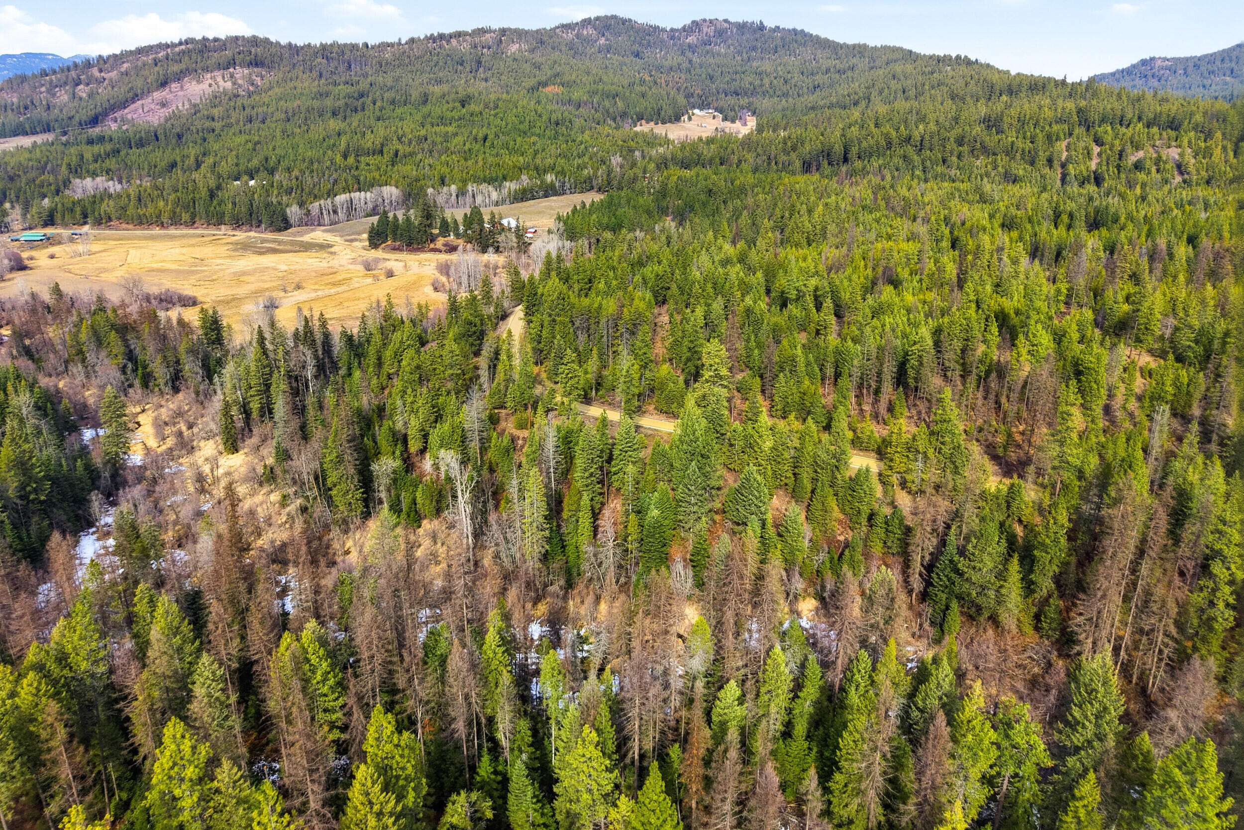 
                        Property photograph at
                        2845 BURNT VALLEY (18.5AC) RD
                      